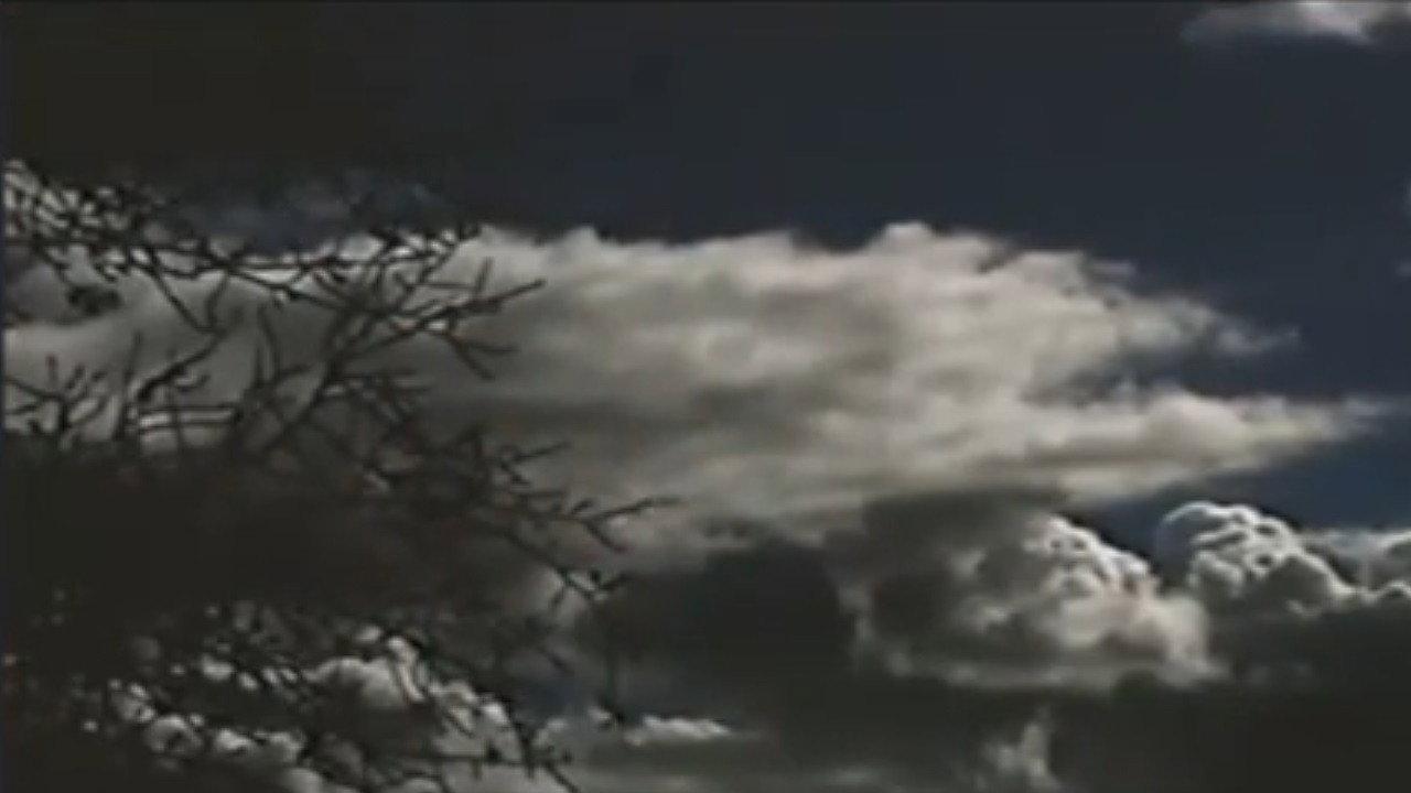 The Field Is White 2002 movie scene