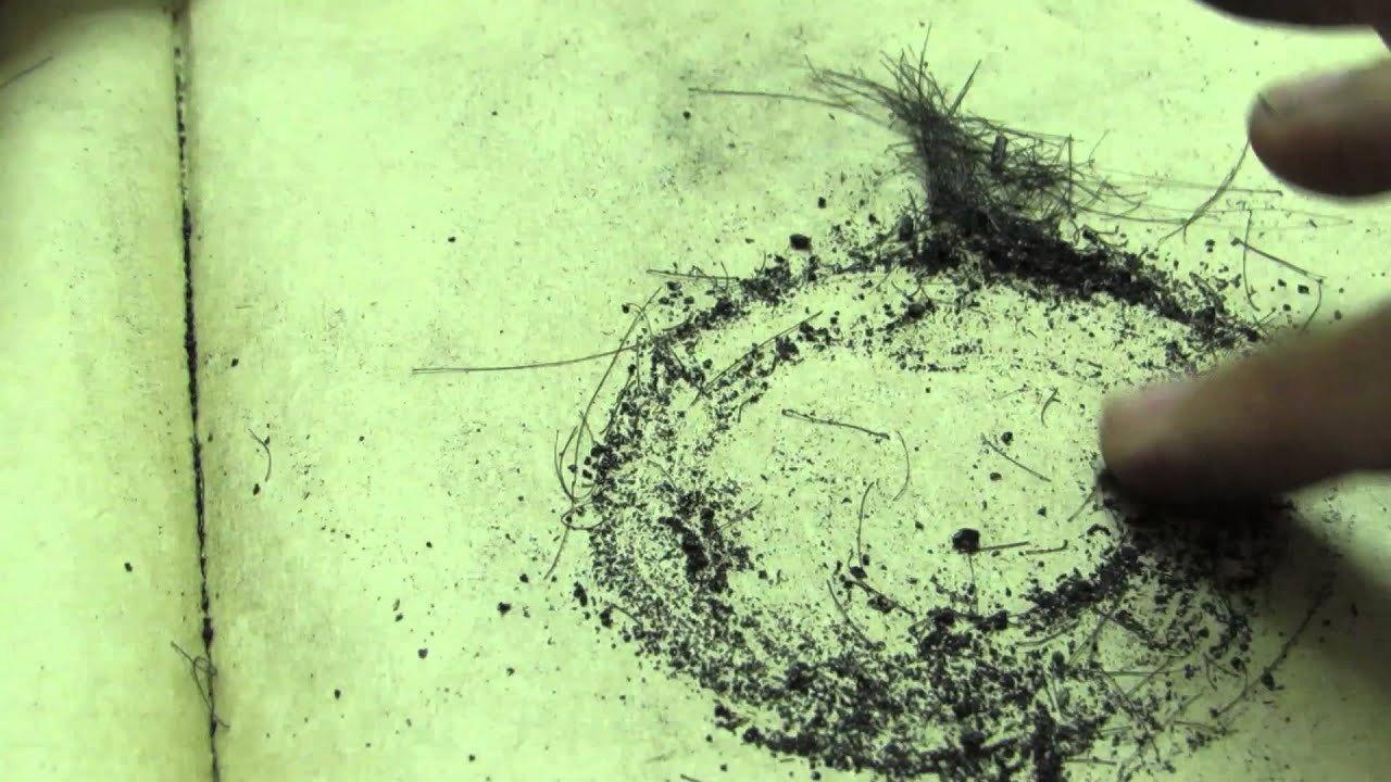 circles 2014 movie scene