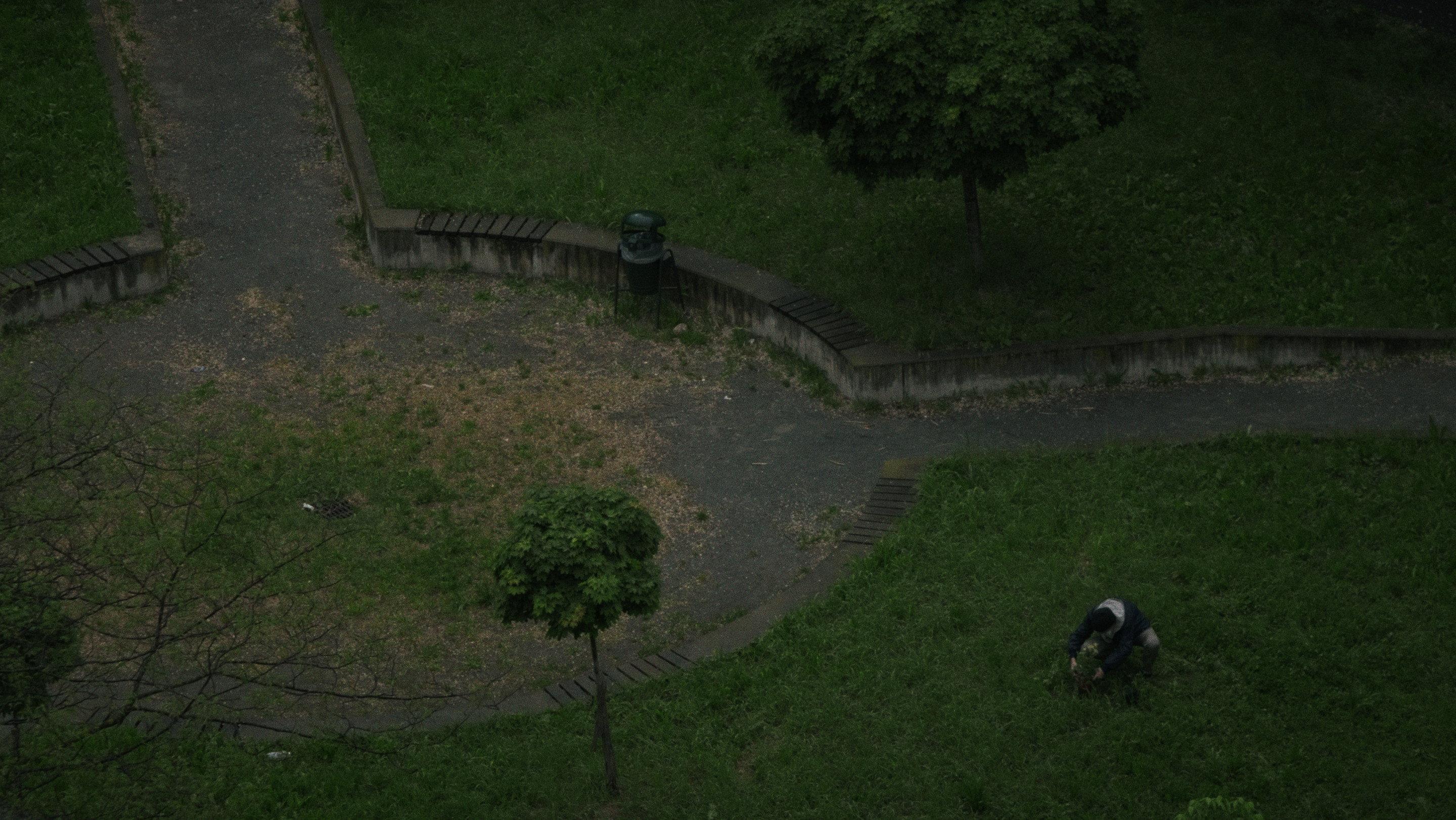 È solo una pianta 2026 movie scene