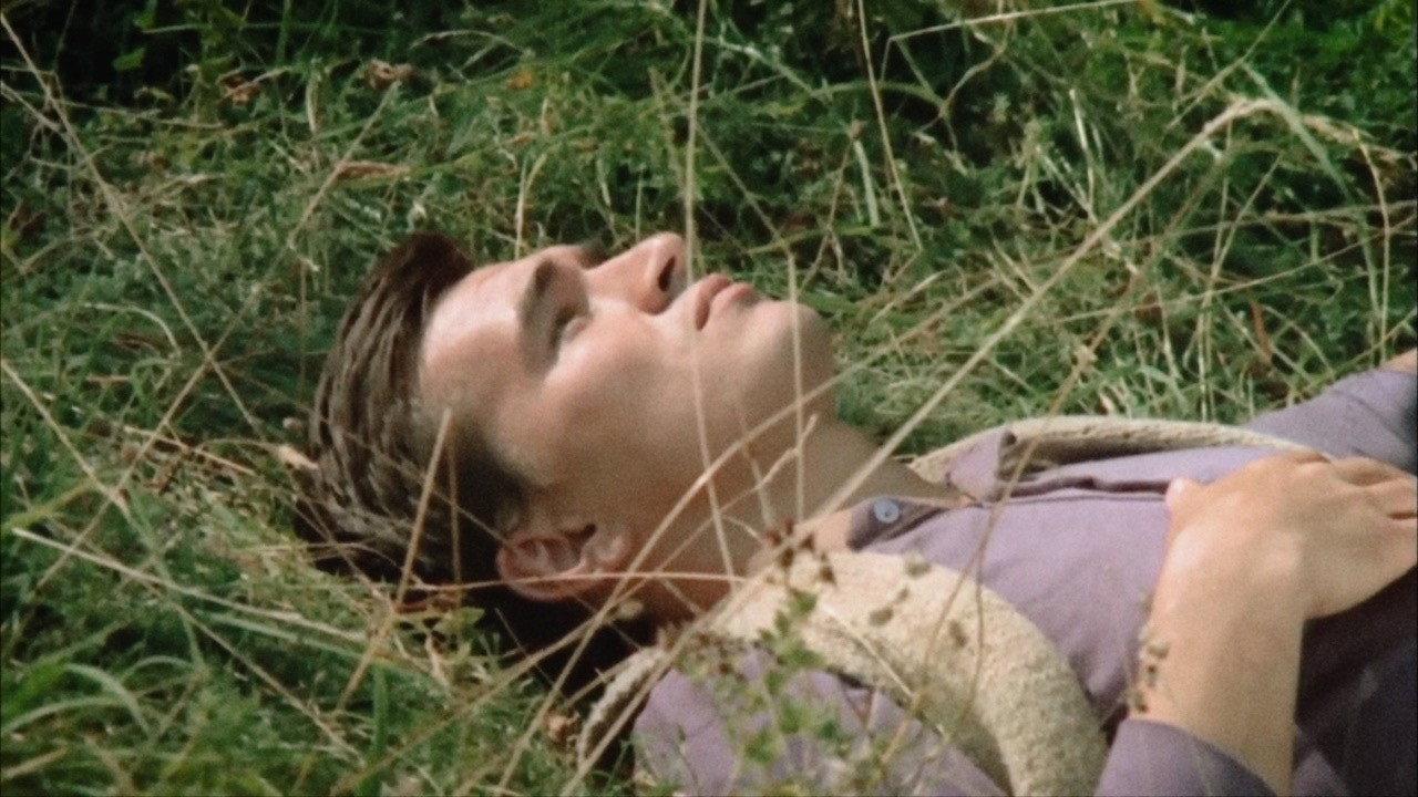 Sick Animals 1970 movie scene