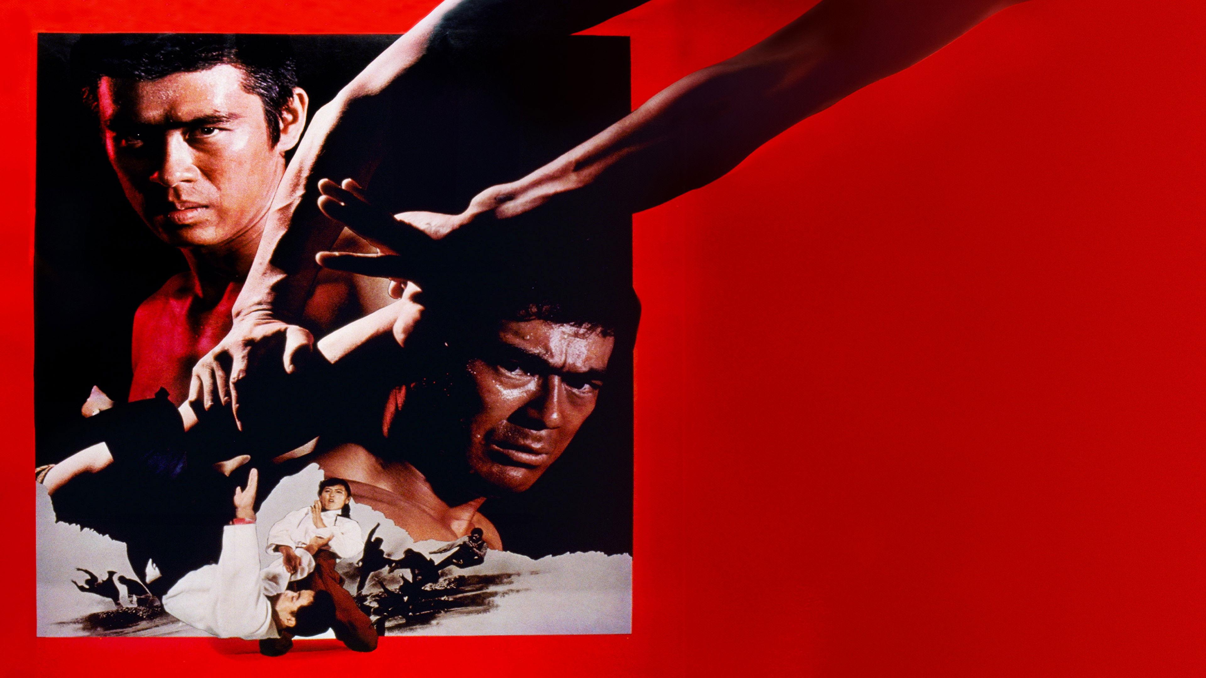 The Decisive Power of Aikido 1975 movie scene