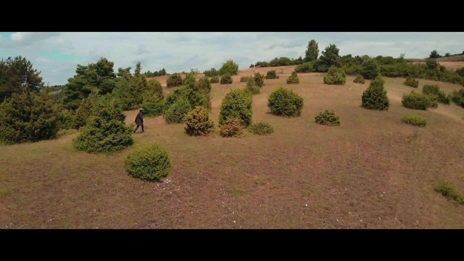 Wiebkes Weg 2018 movie scene
