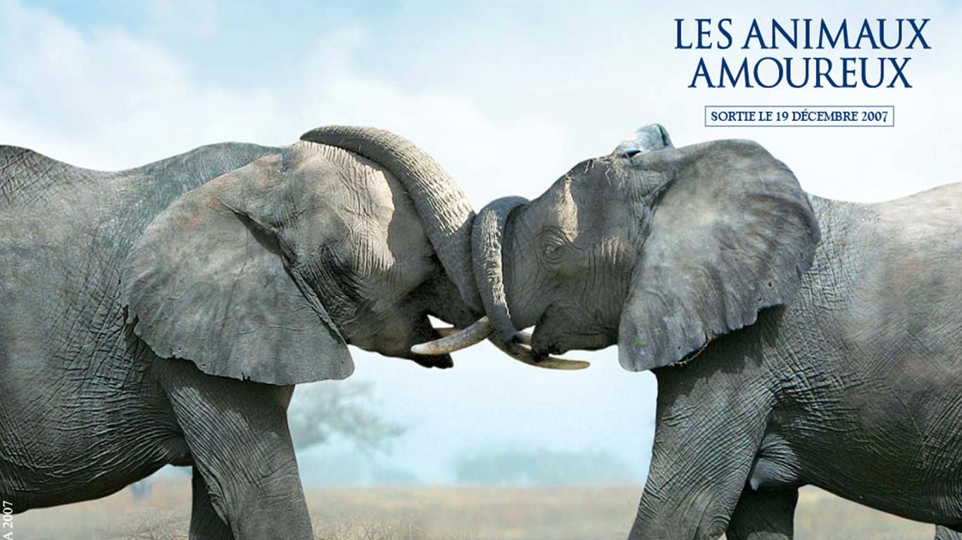Animals in Love 2007 movie scene
