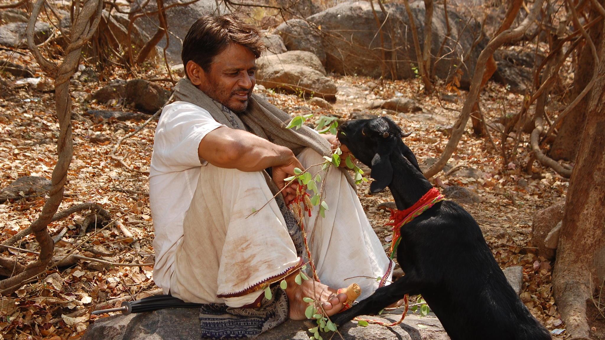 Virgin Goat 2009 movie scene