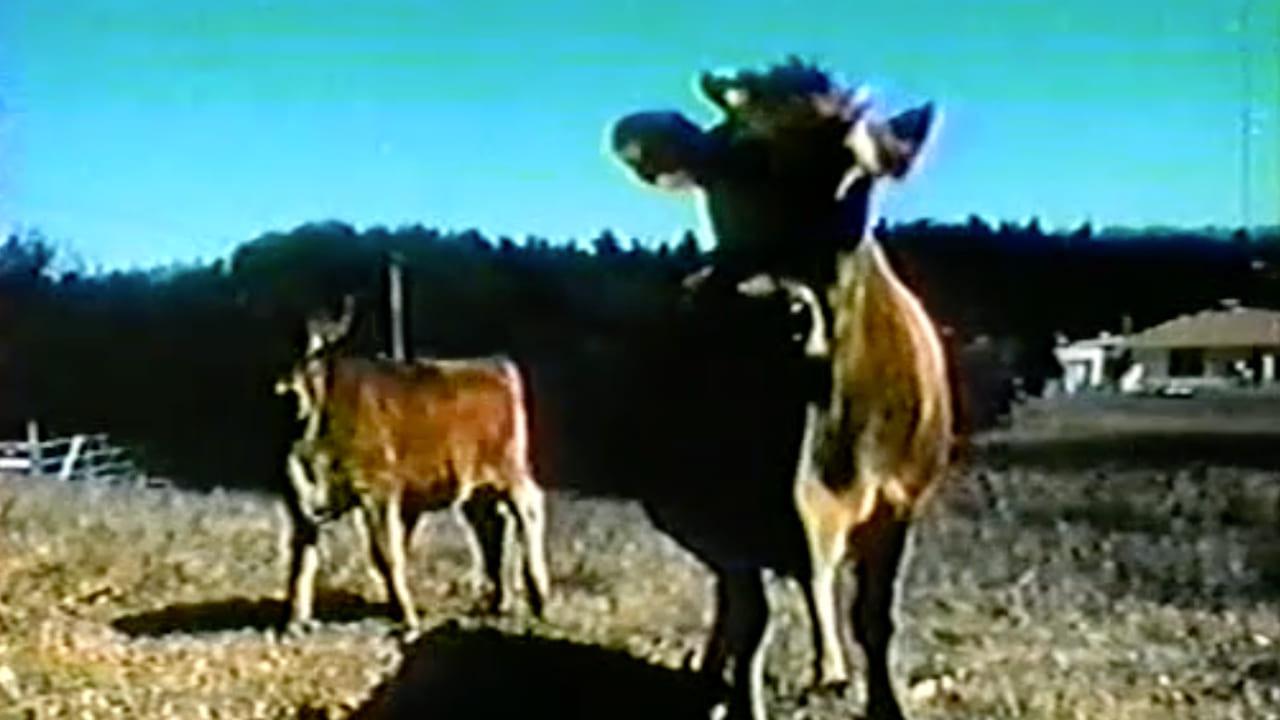 Cattle Mutilation 1983 movie scene