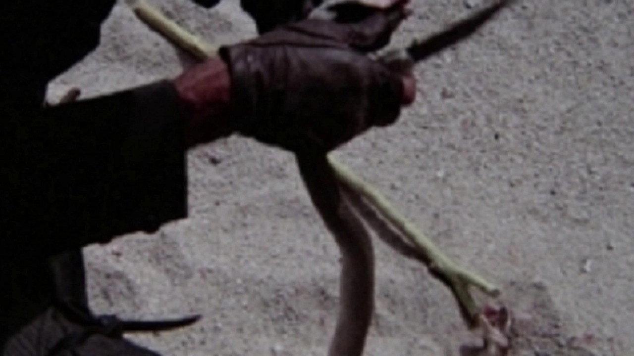 Hot Snake 1978 movie scene