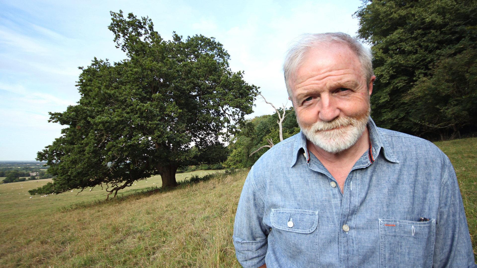 Oak Tree: Nature's Greatest Survivor 2015 movie scene