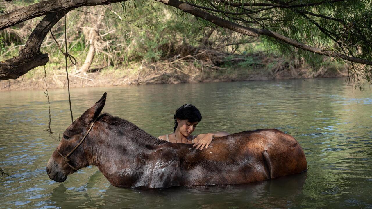The Muleteer 2025 movie scene