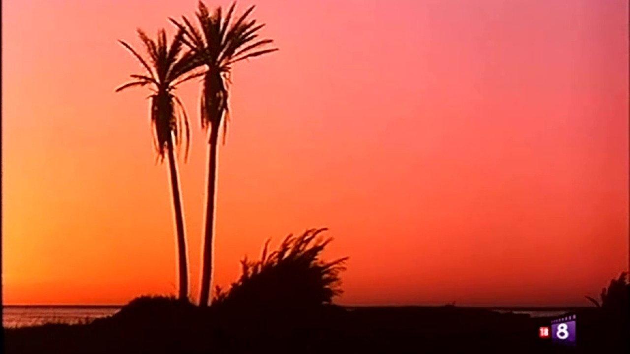 Orgasmo caliente 1981 movie scene