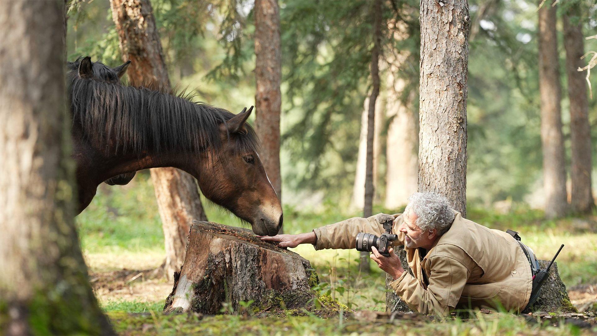 Wild Horses, the Rockies and Me 2025 movie scene