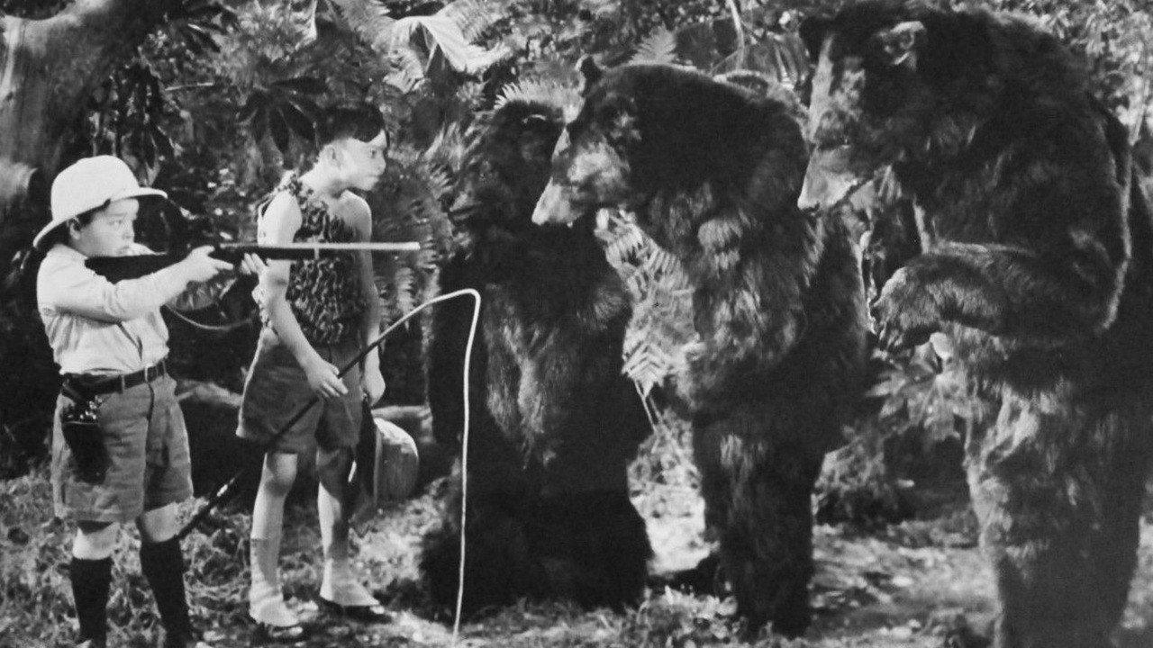 Bear Facts 1938 movie scene