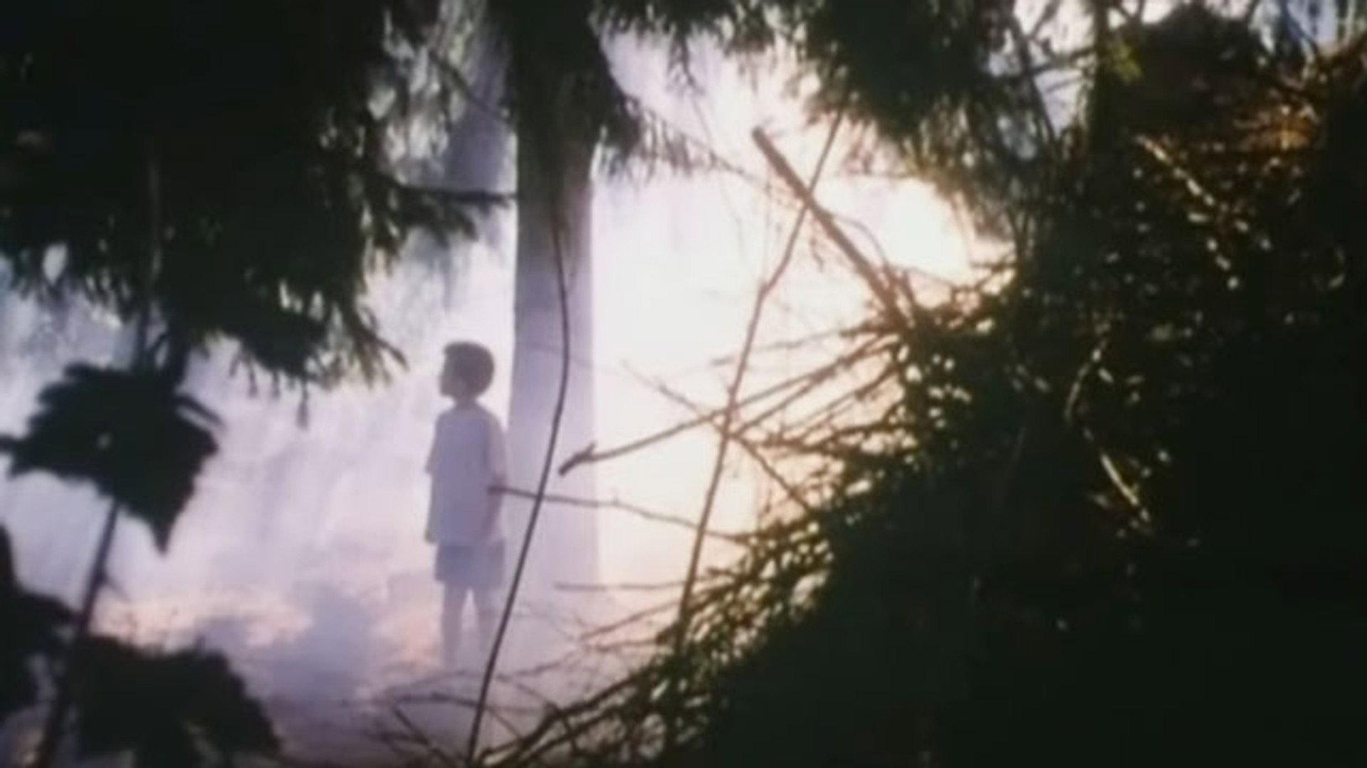 Svampe 1990 movie scene