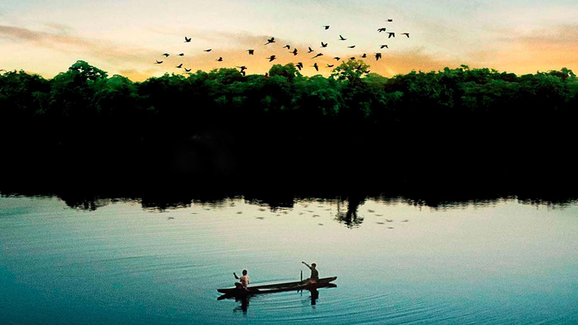 Eternal Amazonia 2012 movie scene