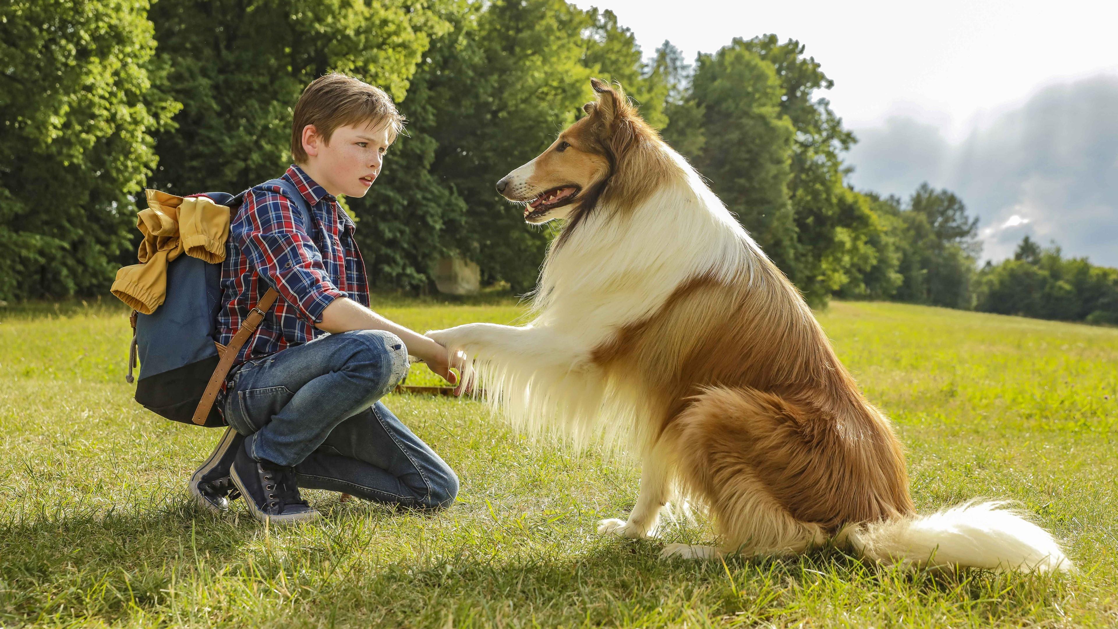 Lassie Come Home 2020 movie scene