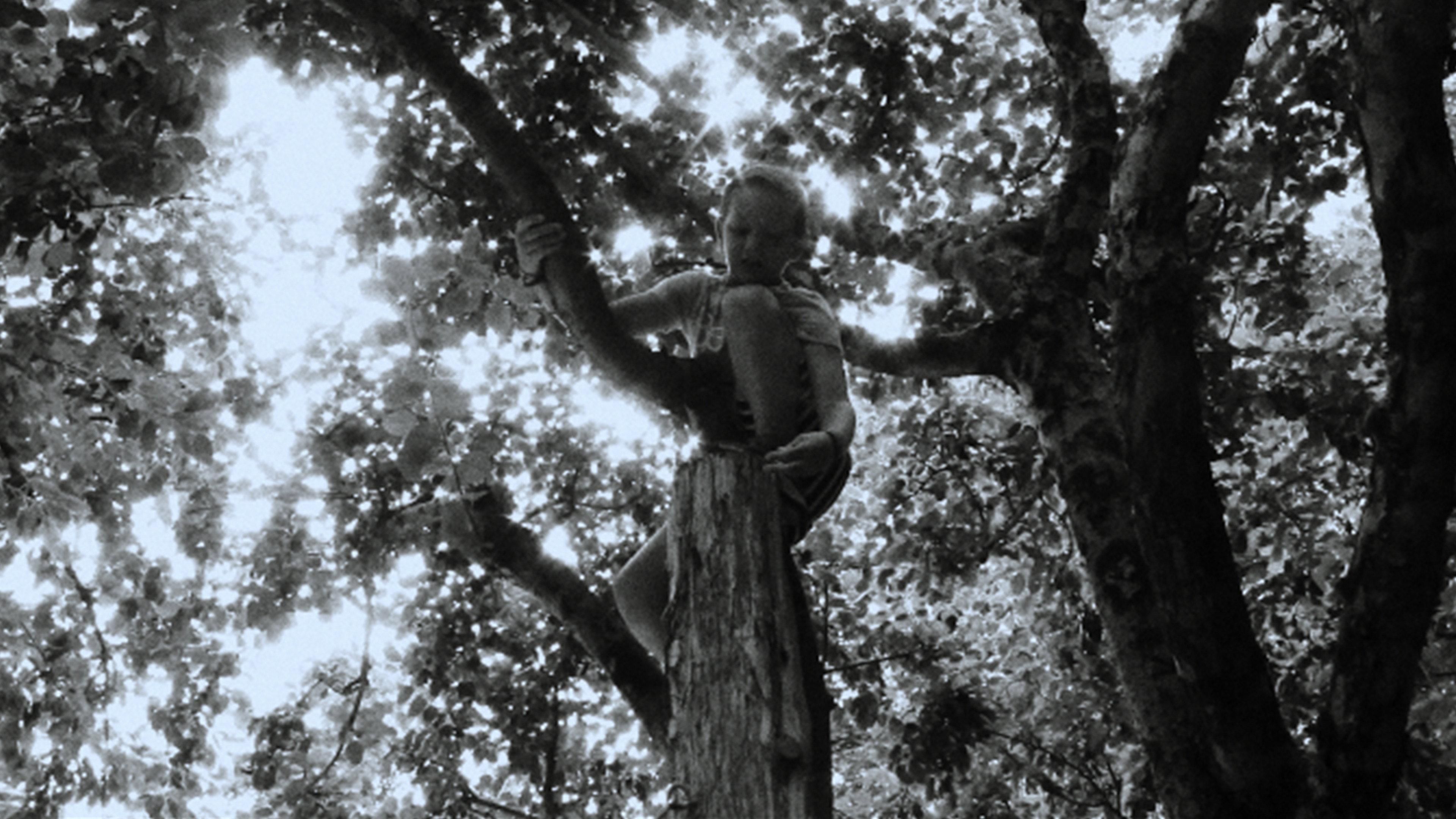Oat Boy 2021 movie scene