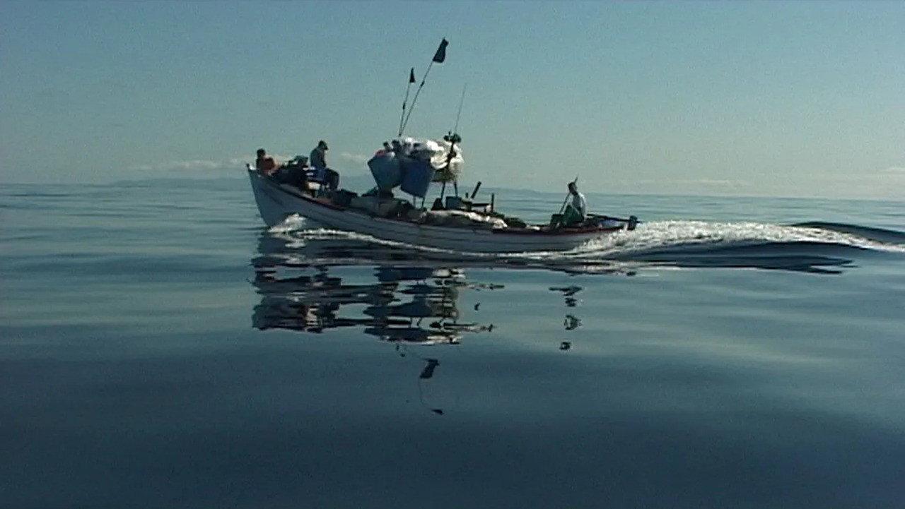 Fish Tail 2015 movie scene