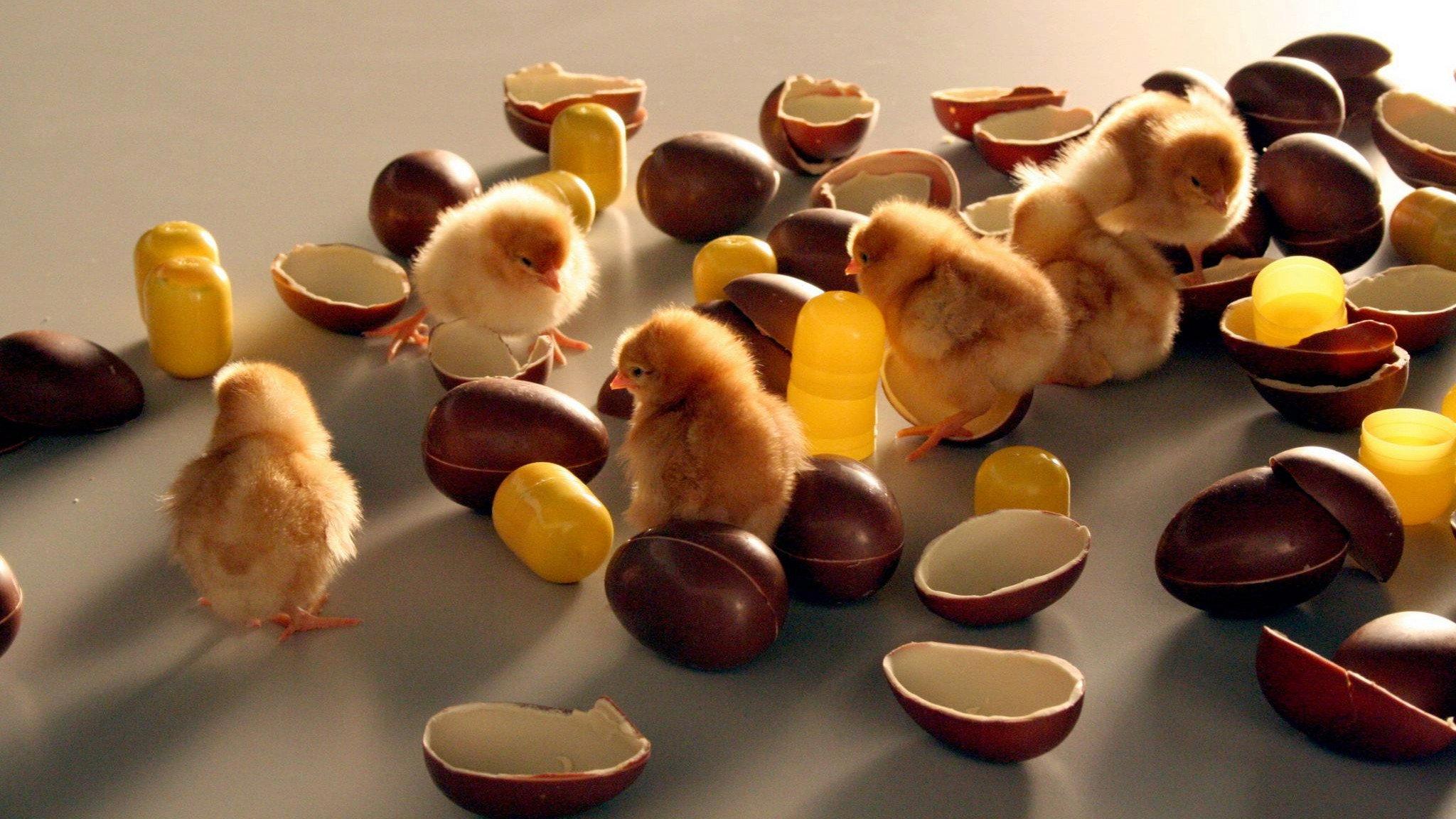 Food Design 2009 movie scene