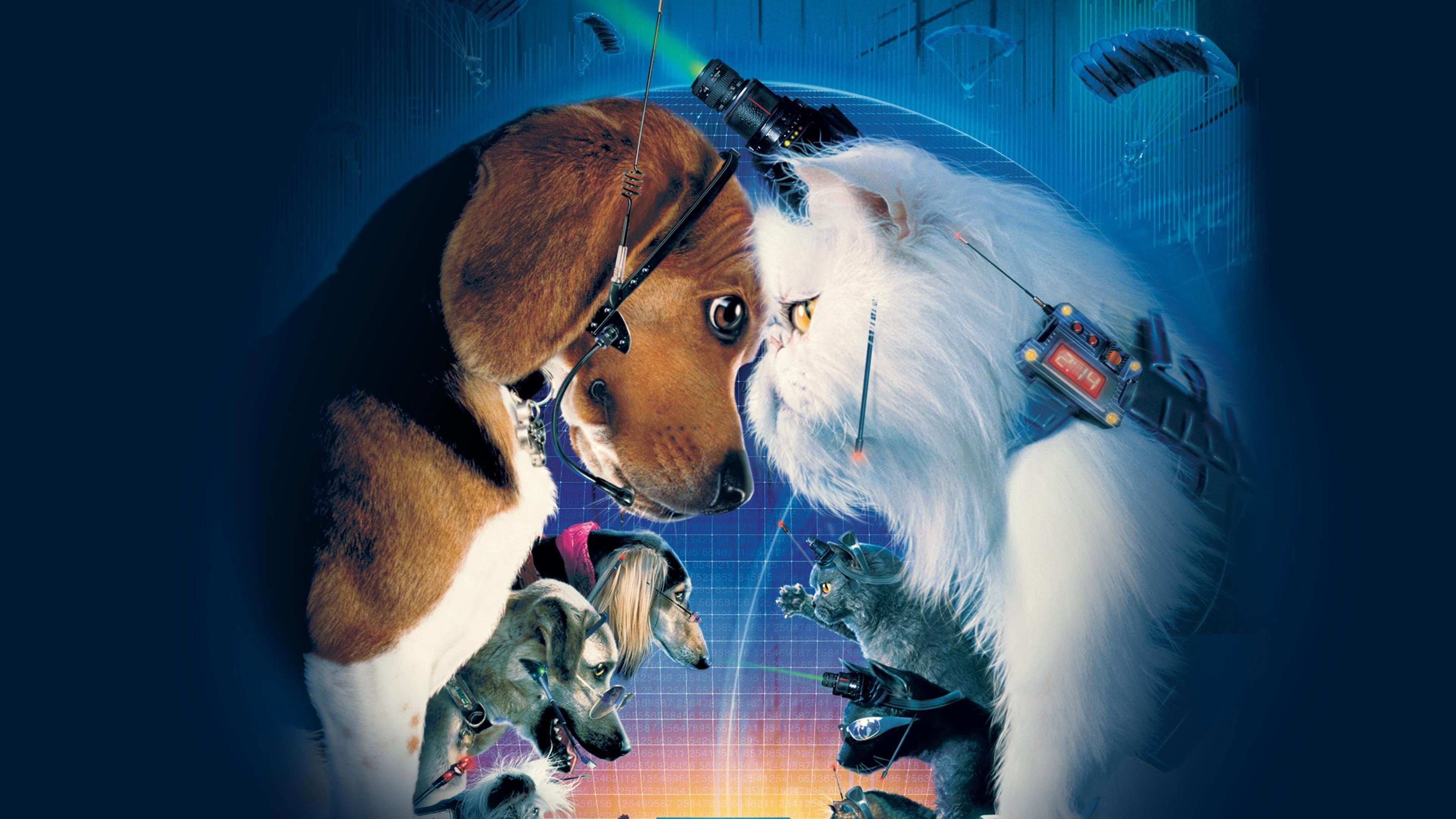 Cats & Dogs 2001 movie scene