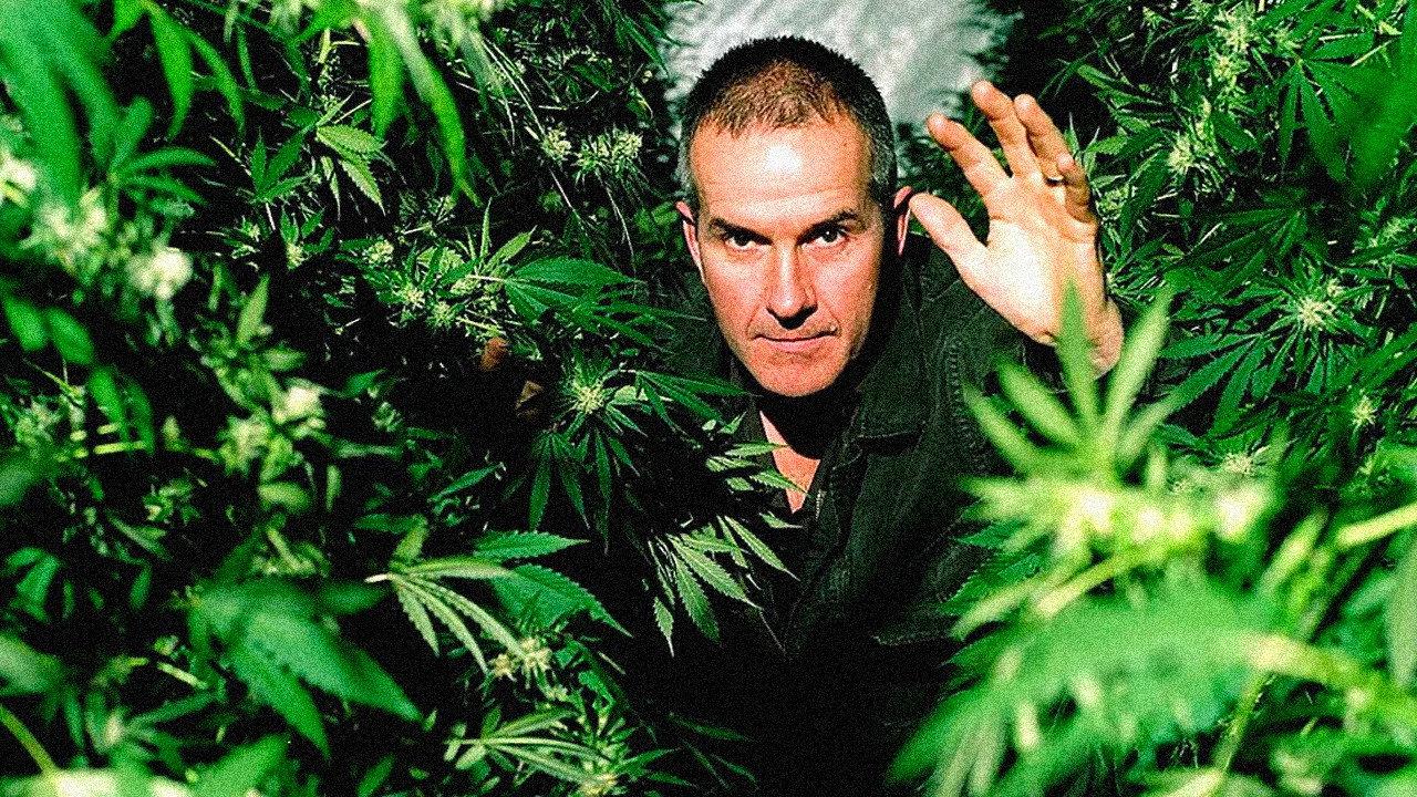 Cannabis: The Evil Weed? 2009 movie scene