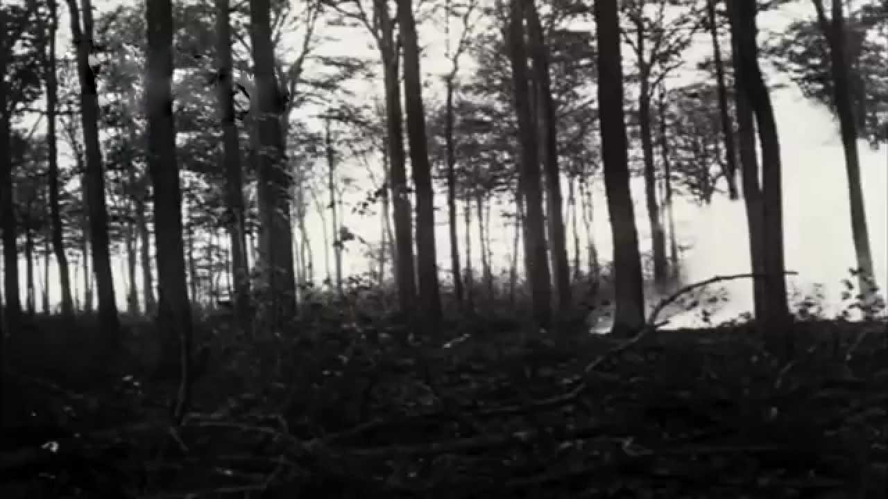With Our Heroes on the Somme 1917 movie scene