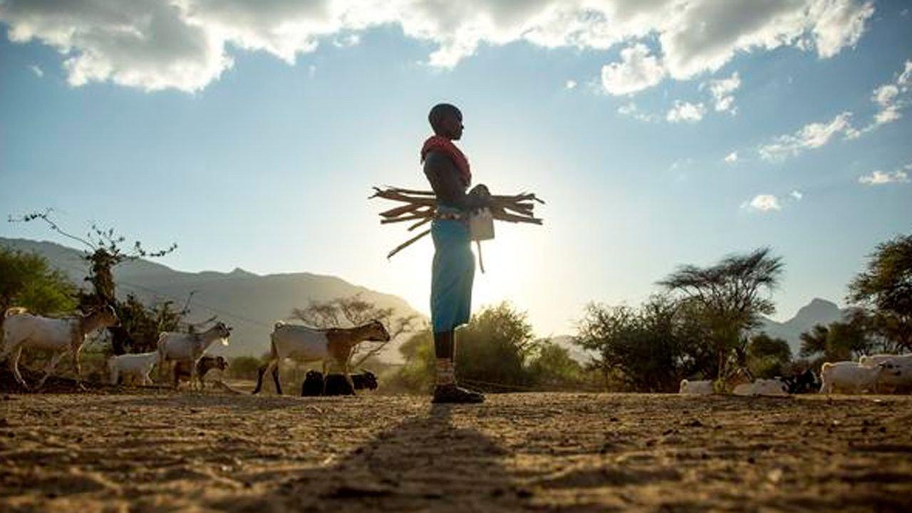 My Africa 2018 movie scene