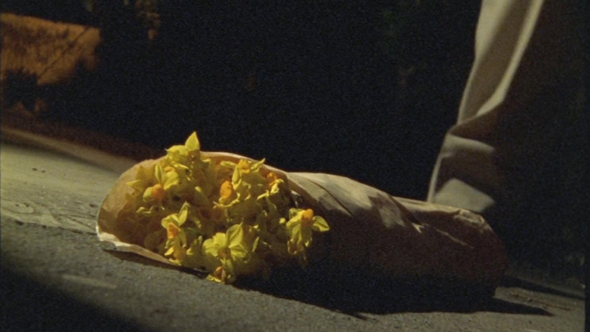 The Man Who Loved Flowers 2004 movie scene