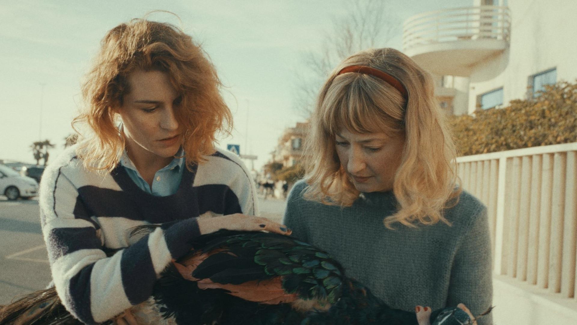 The Peacock’s Paradise 2022 movie scene