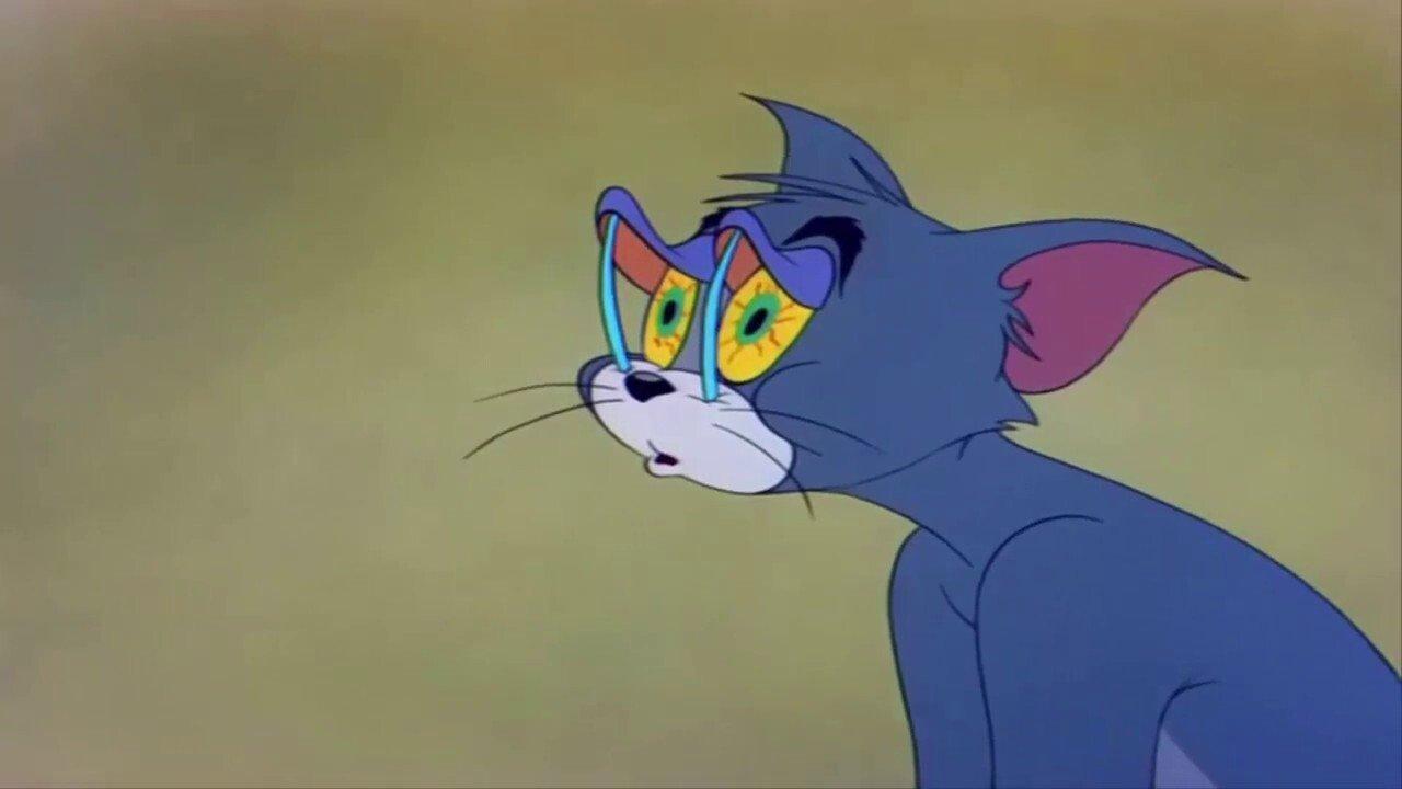 Sleepy-Time Tom 1951 movie scene