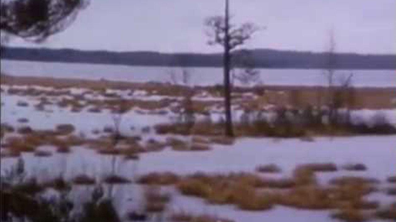 Striaght Ahead 1992 movie scene