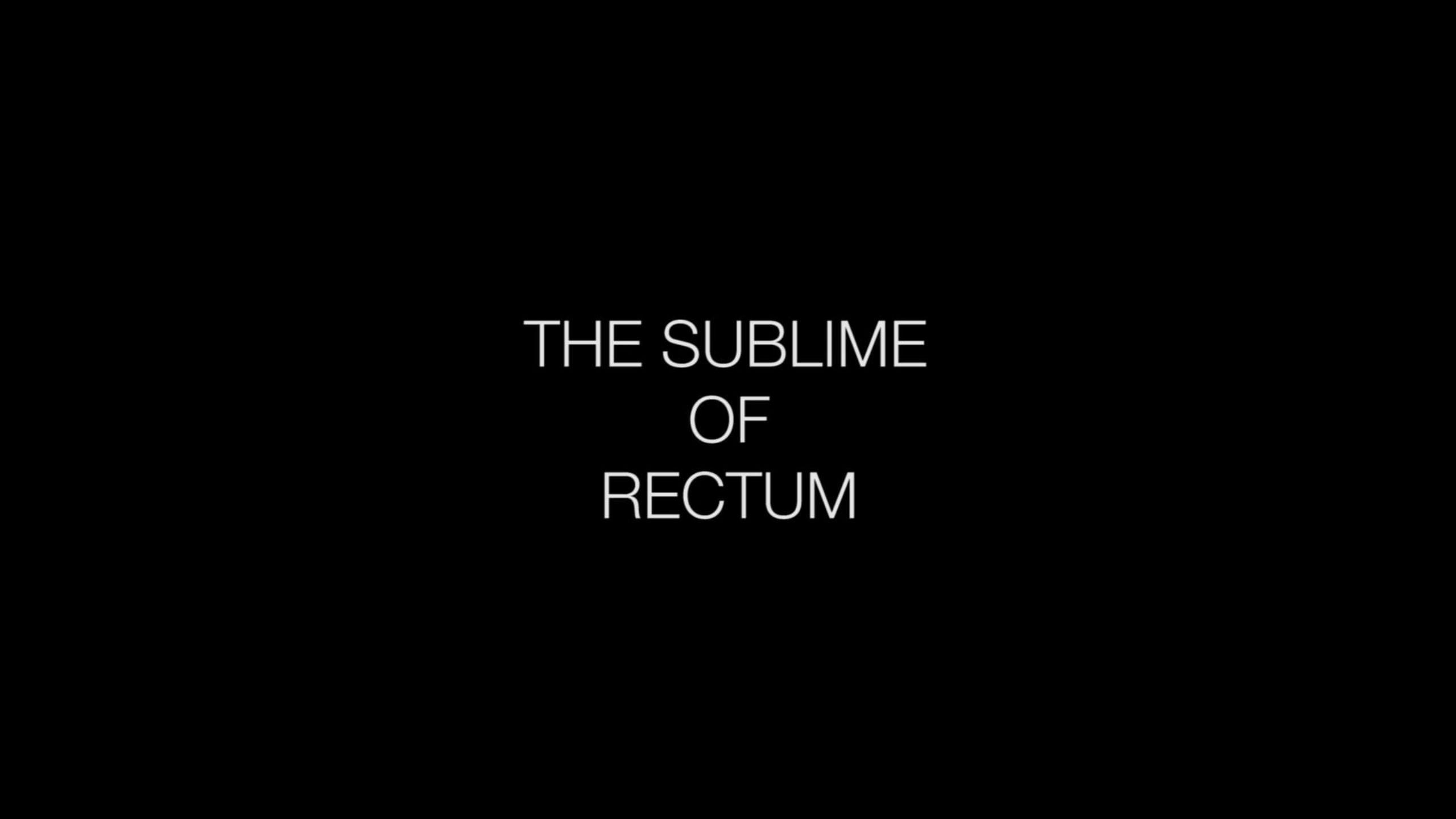 The Sublime of Rectum 2018 movie scene