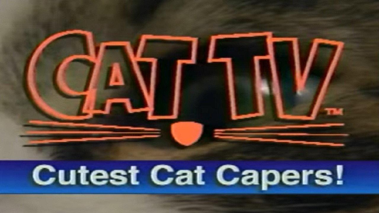Cutest Cat Capers 1995 movie scene