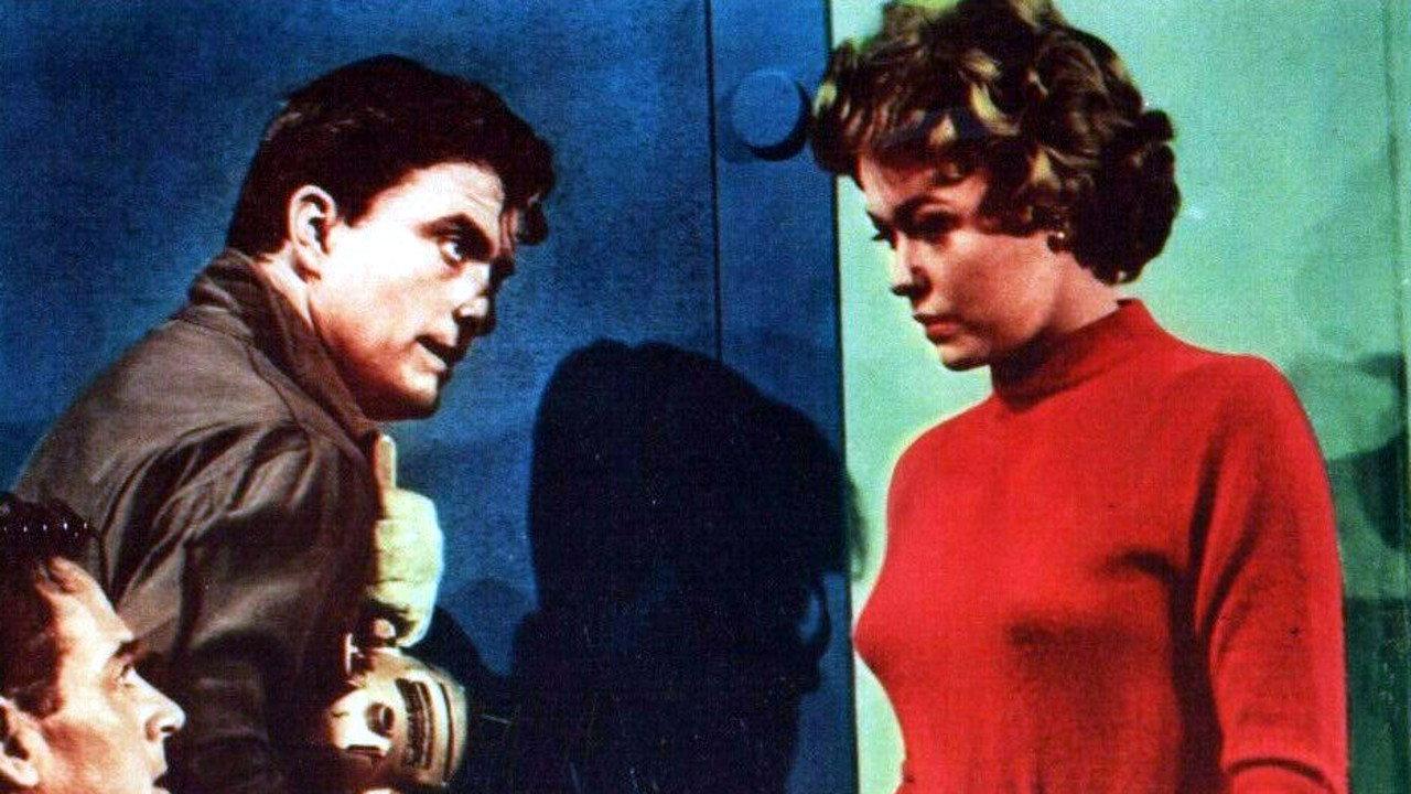 Valley of the Redwoods 1960 movie scene