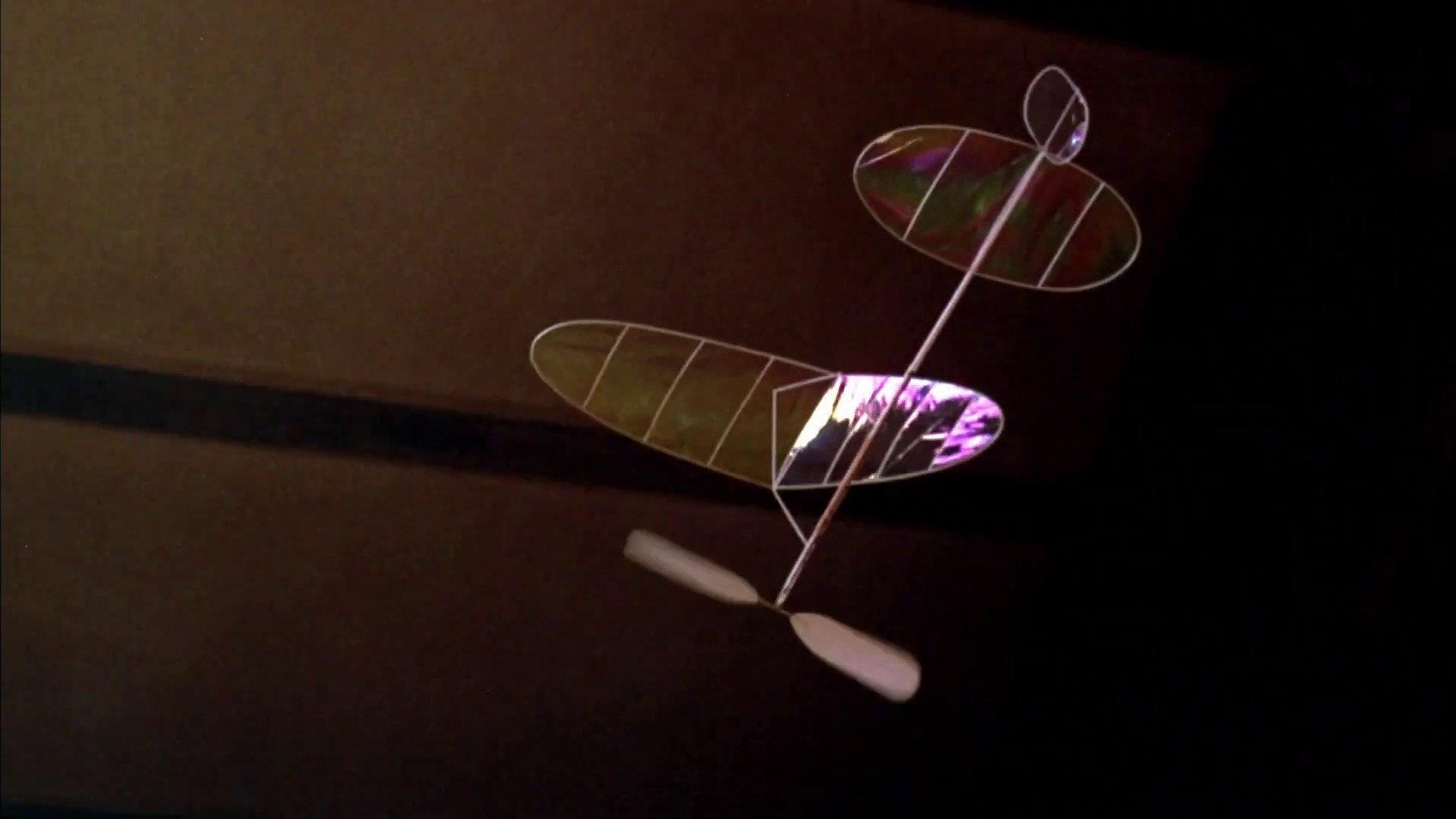 Wings and Things 1973 movie scene