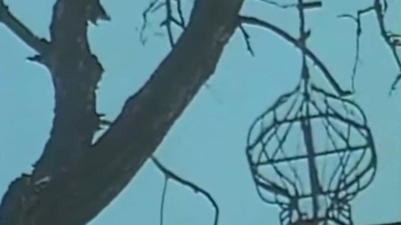 The Cimmerian Hermit 1992 movie scene