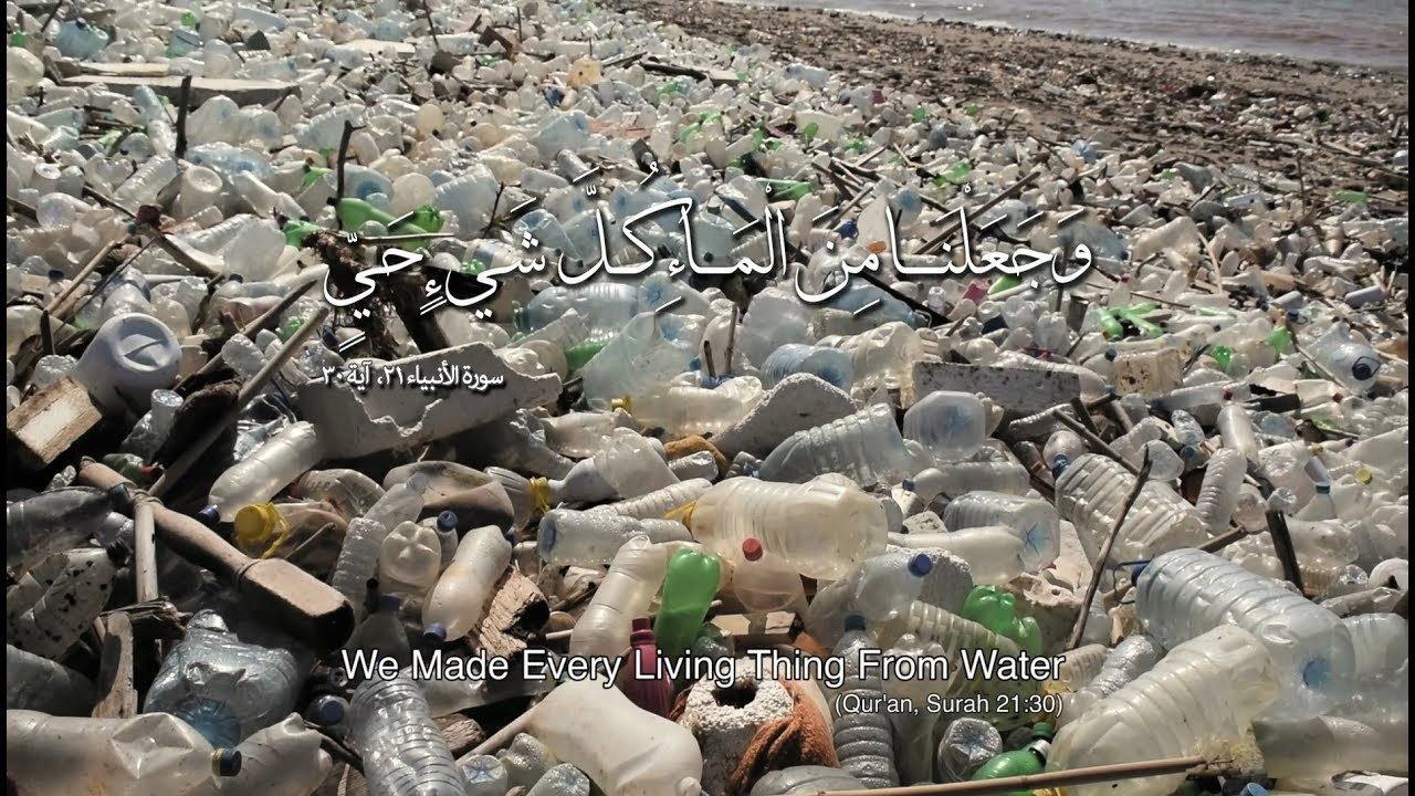 We Made Every Living Thing from Water 2018 movie scene