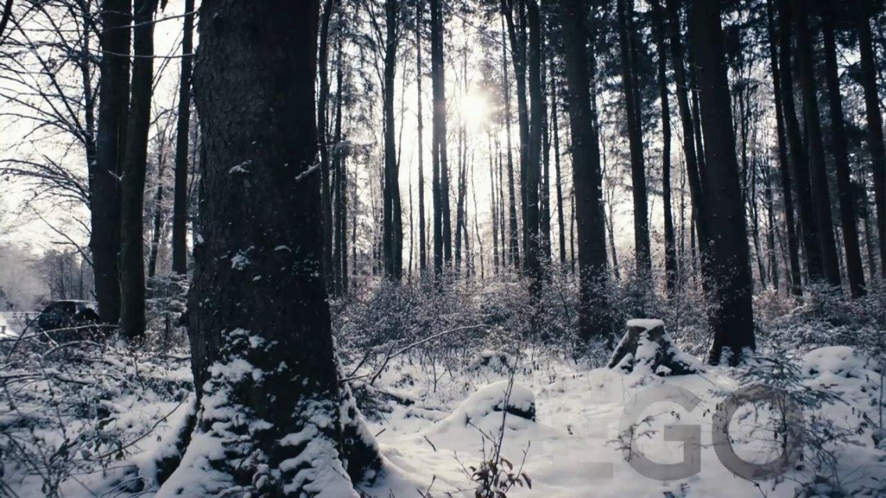 Ego 2018 movie scene