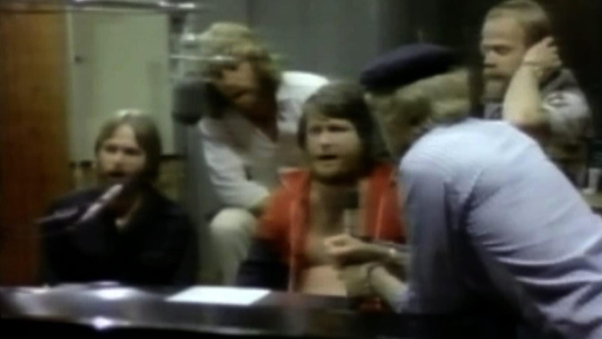 Beach Boys: Surfin' Success 2008 movie scene