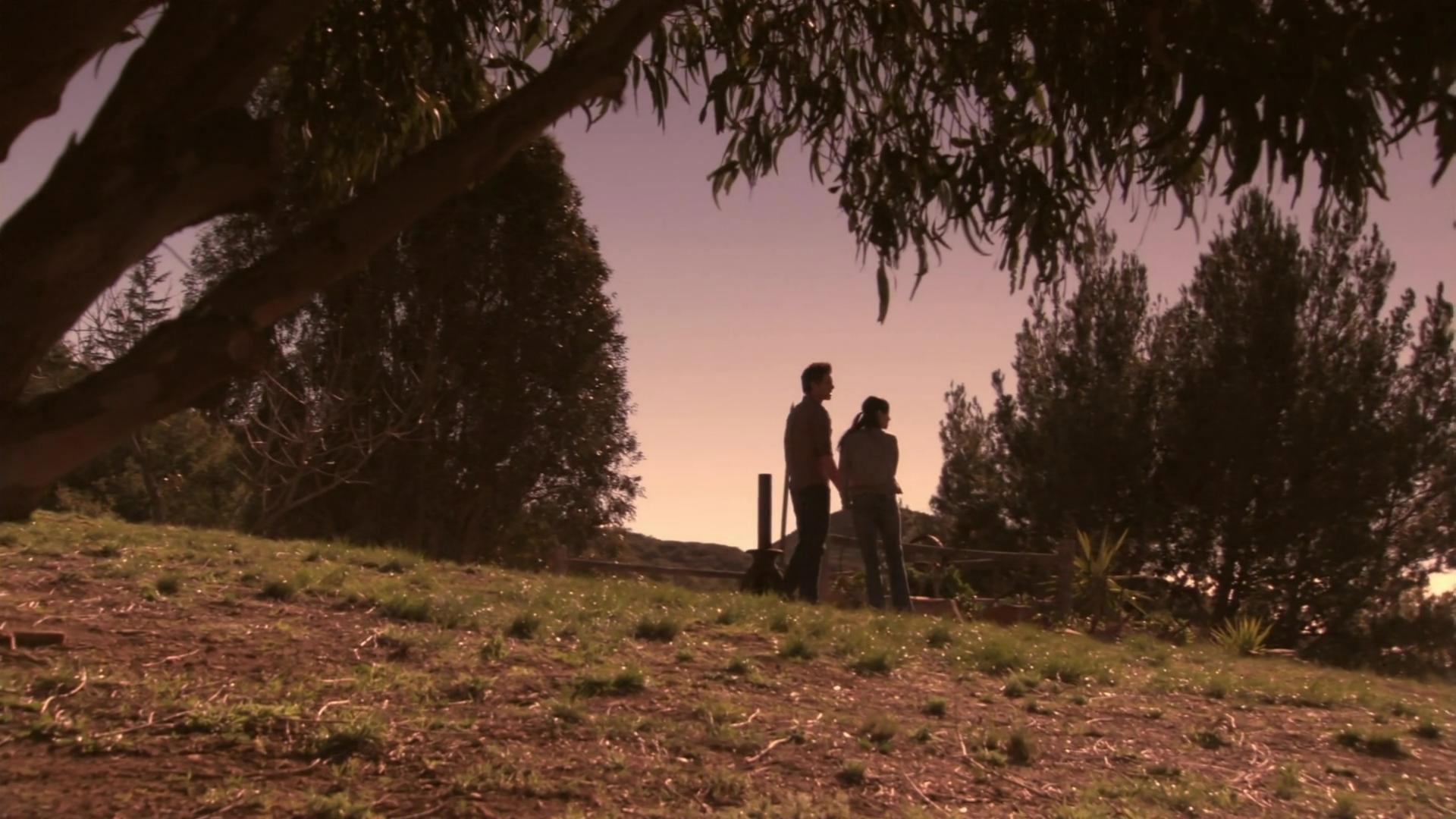 Circle 2010 movie scene