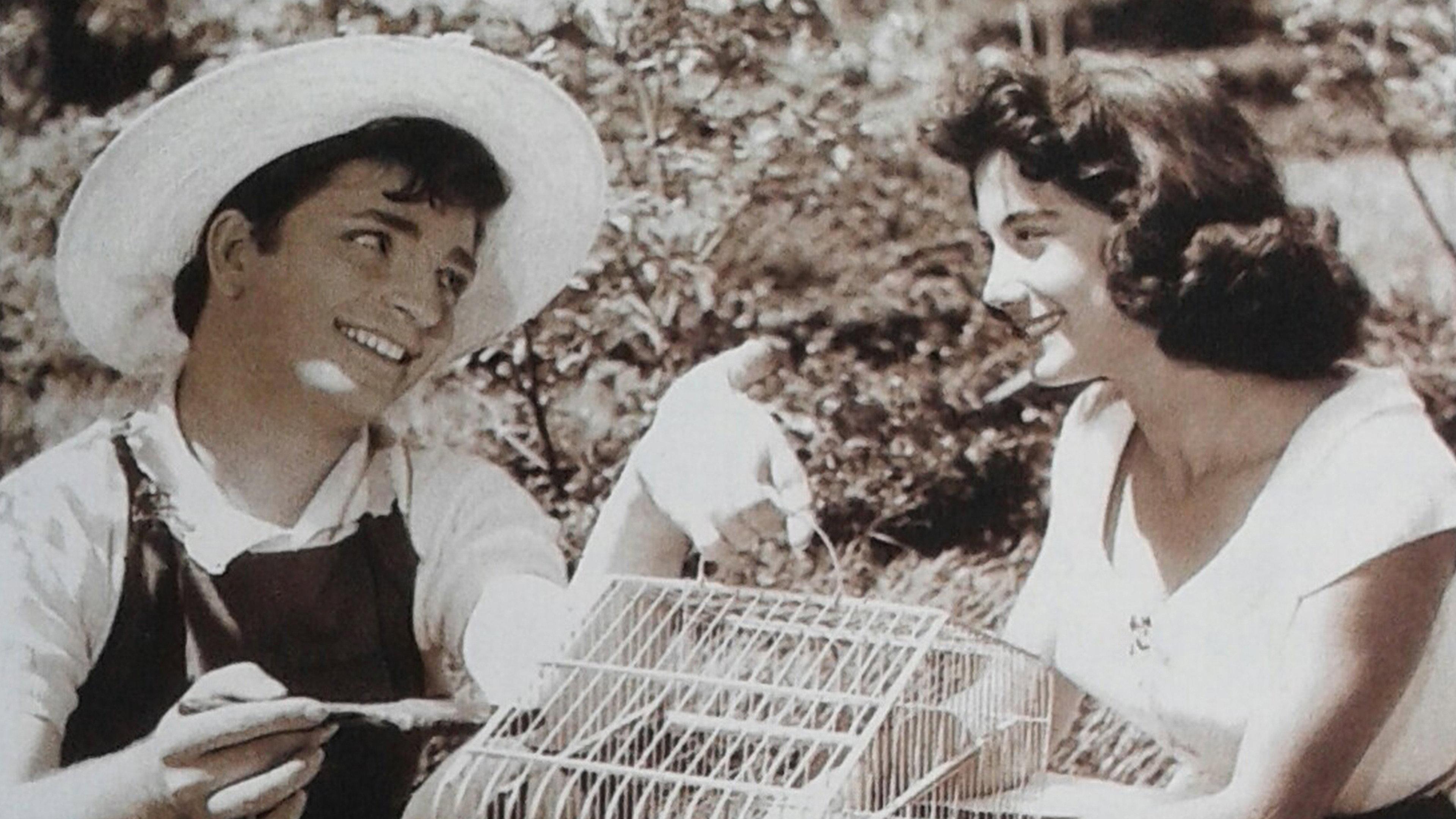 The Vagabond 1957 movie scene