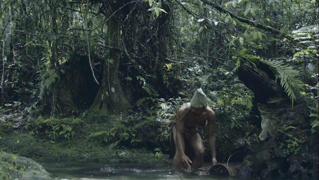 Wailings in the Forest 2016 movie scene