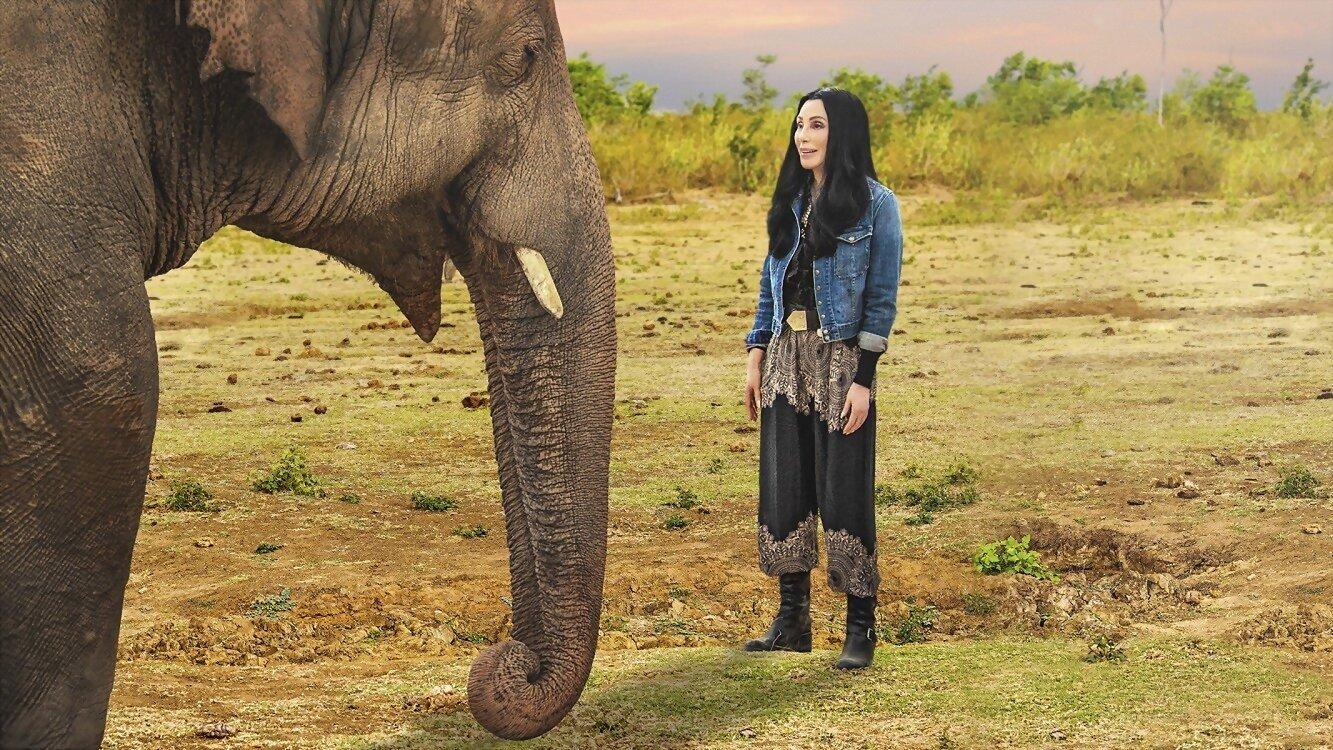 Cher & the Loneliest Elephant 2021 movie scene