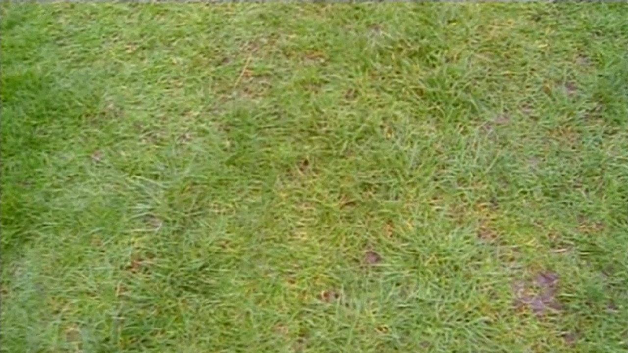 Do You Remember the First Time? 1994 movie scene