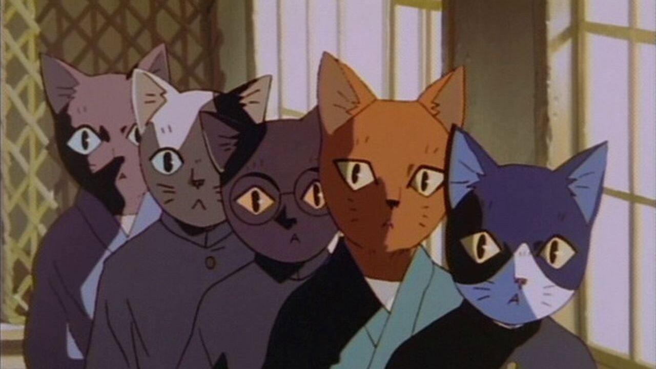 Spring and Chaos 1996 movie scene