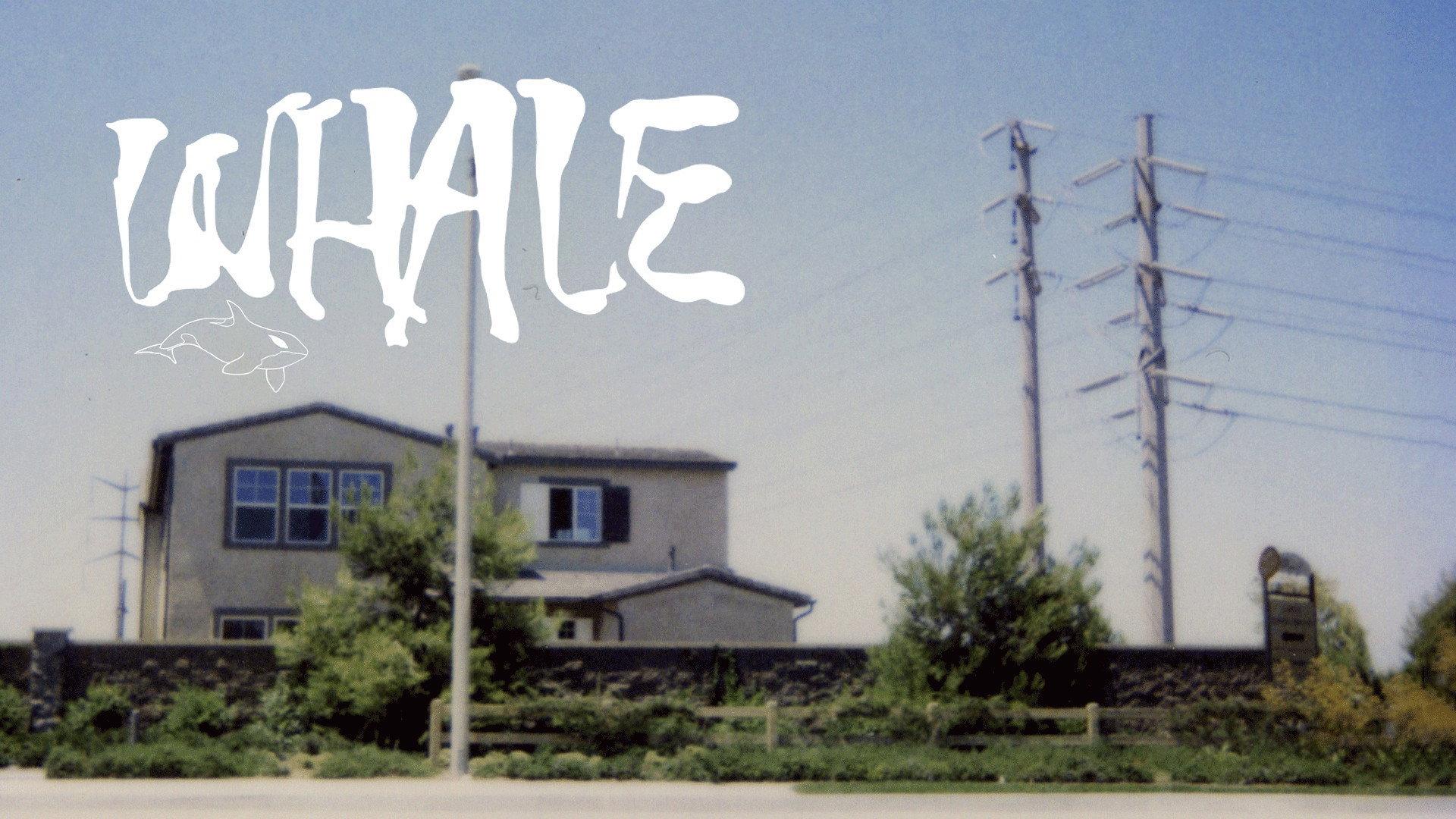 Whale 2010 movie scene