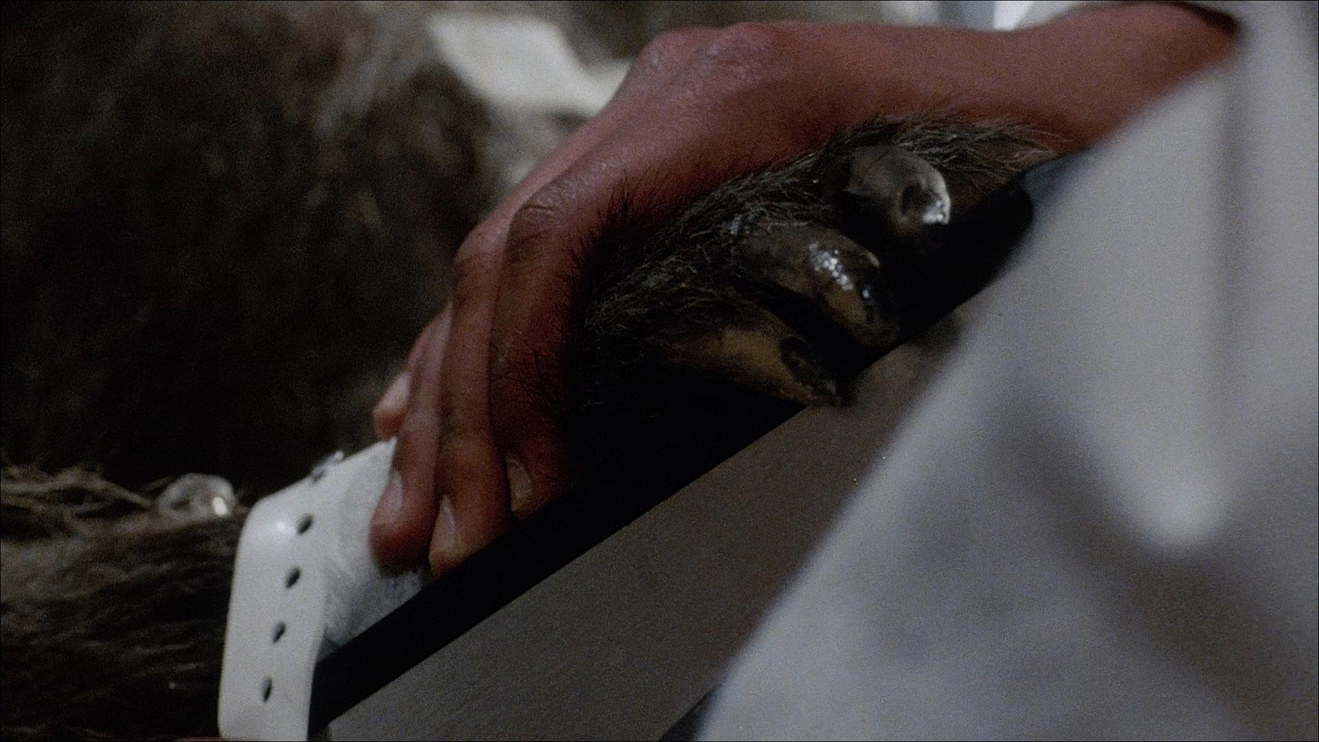 Baboon Bite Maniacs! - "Primal Rage" 35 Years Later 2023 movie scene