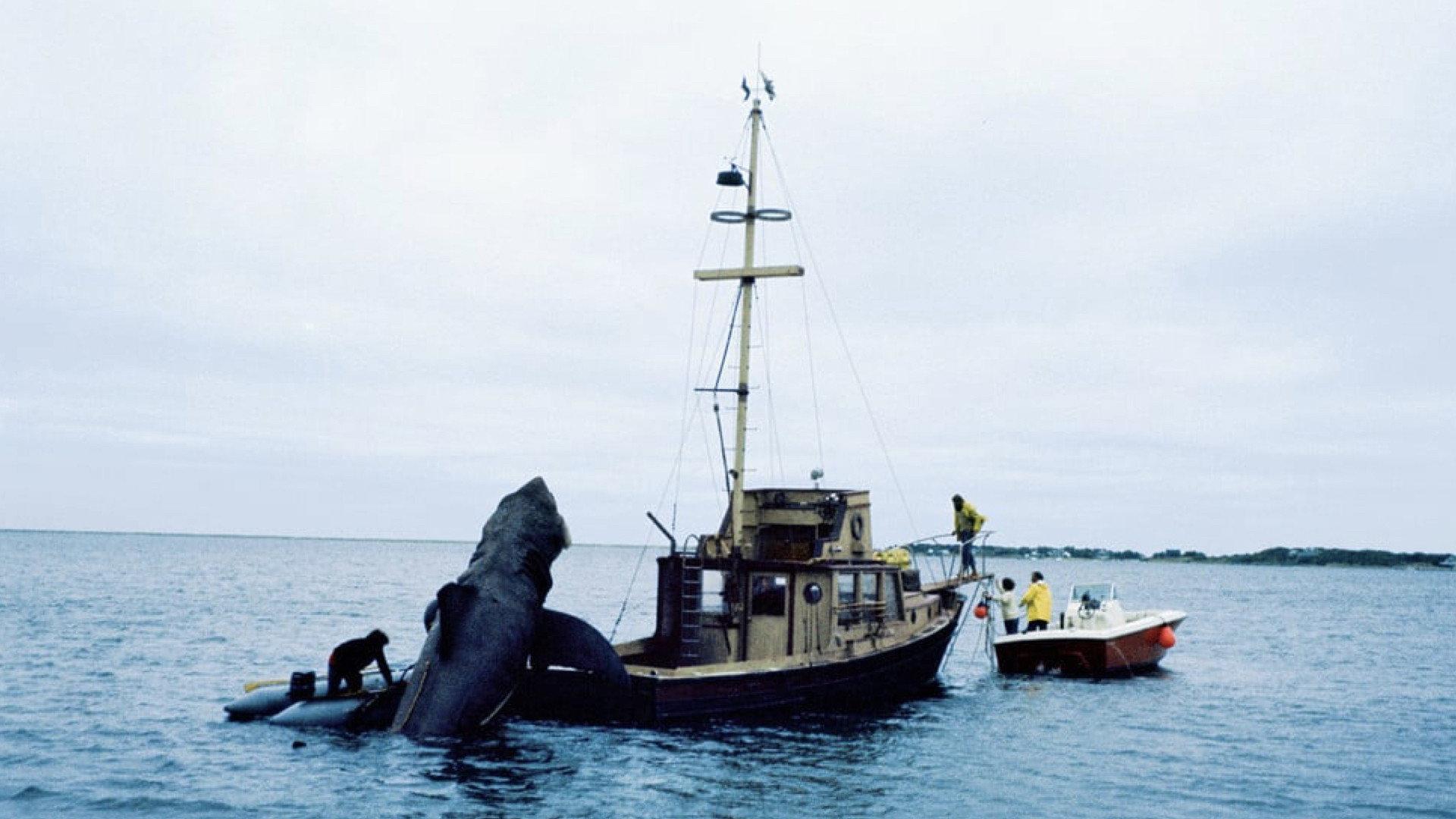 In the Teeth of Jaws 1997 movie scene