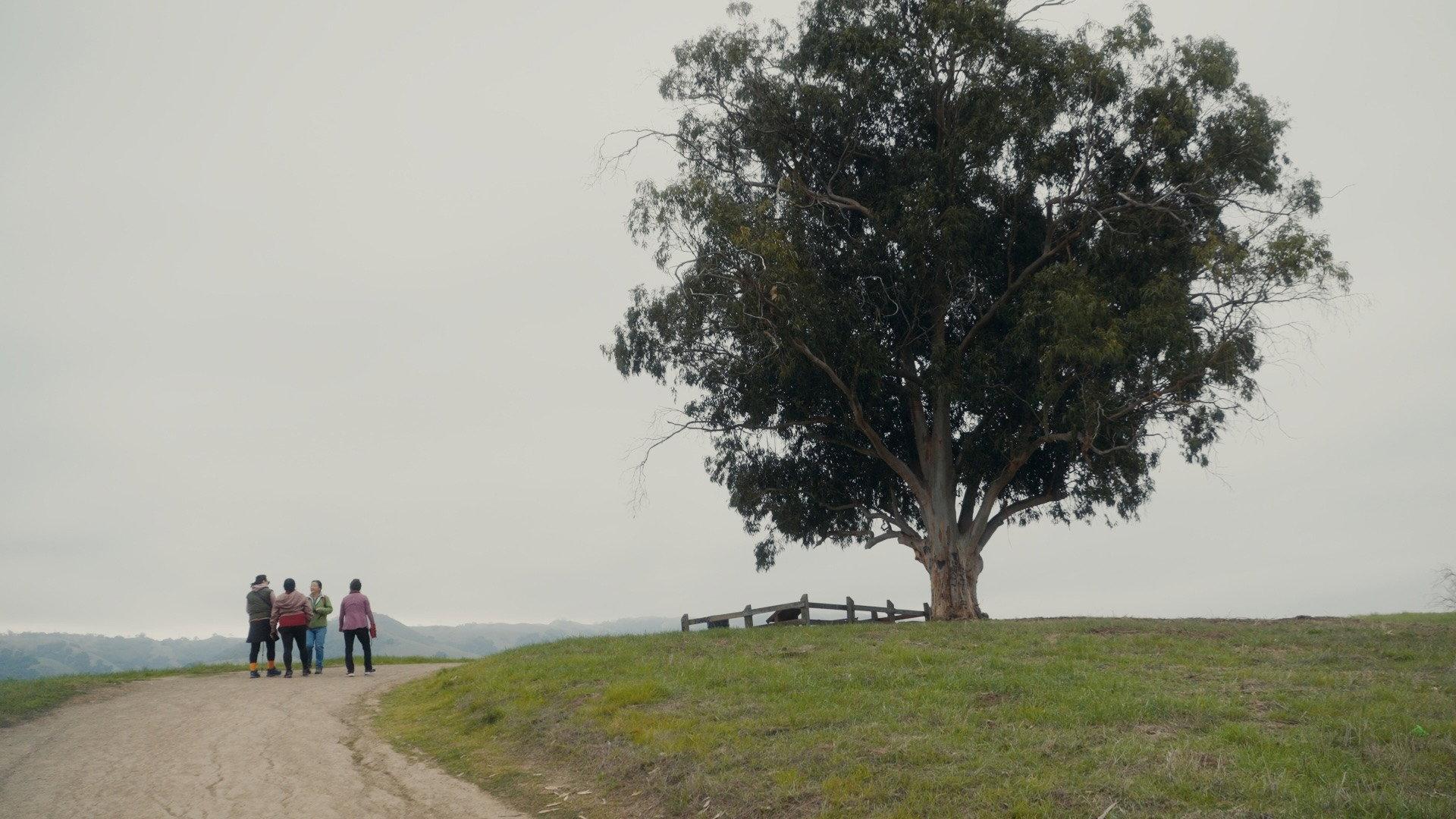 When Are You Coming Home?  movie scene