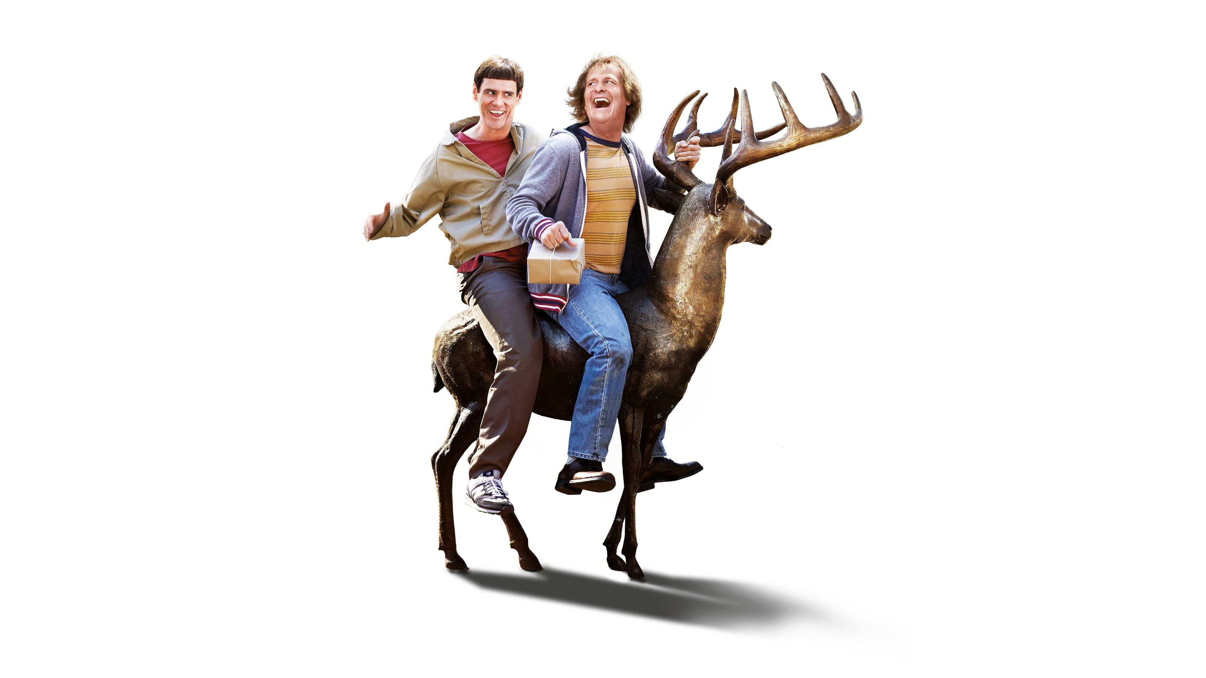 Dumb and Dumber To 2014 movie scene