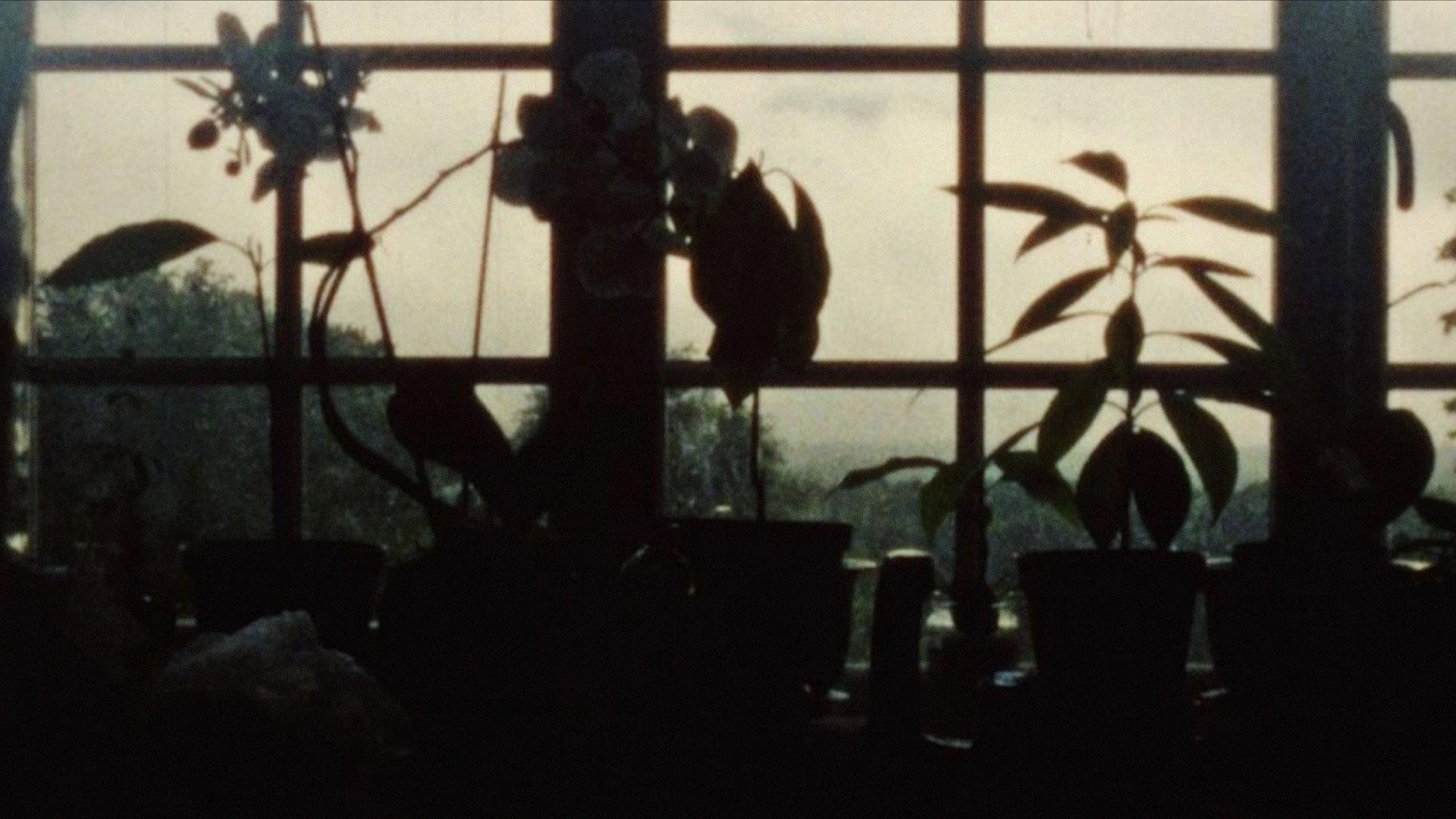 Movement and Stillness 2015 movie scene