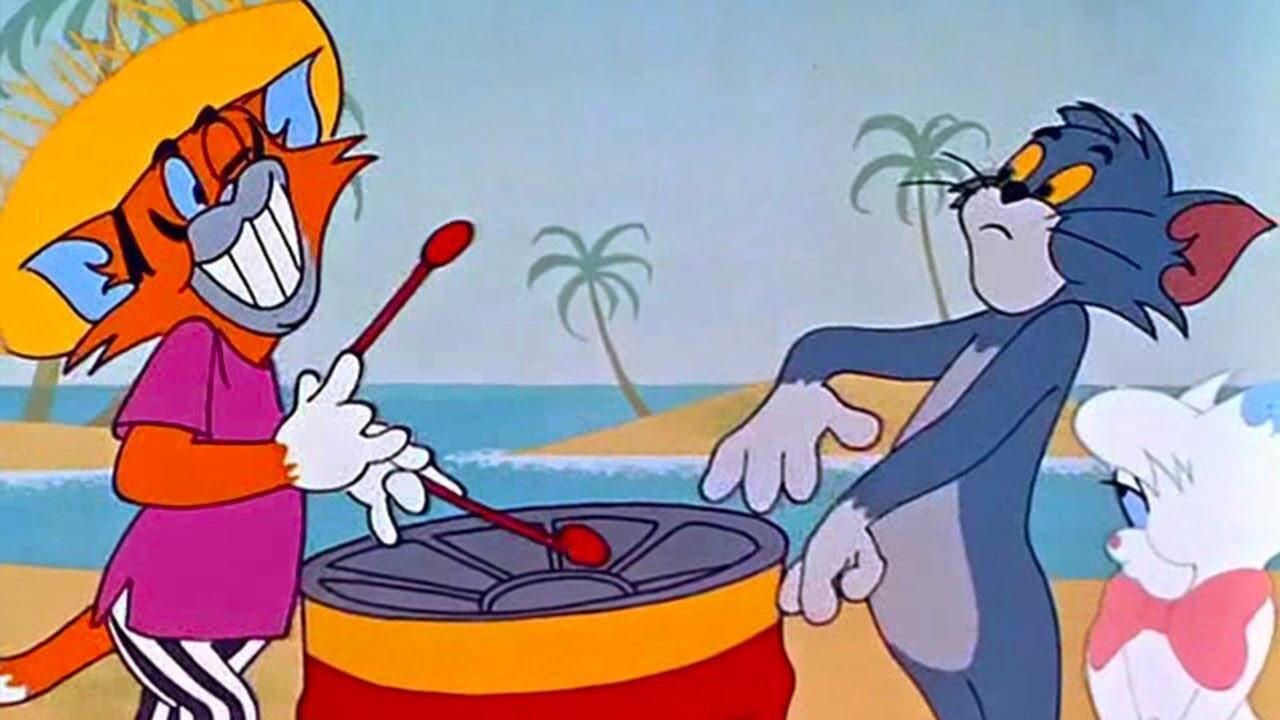 Calypso Cat 1962 movie scene
